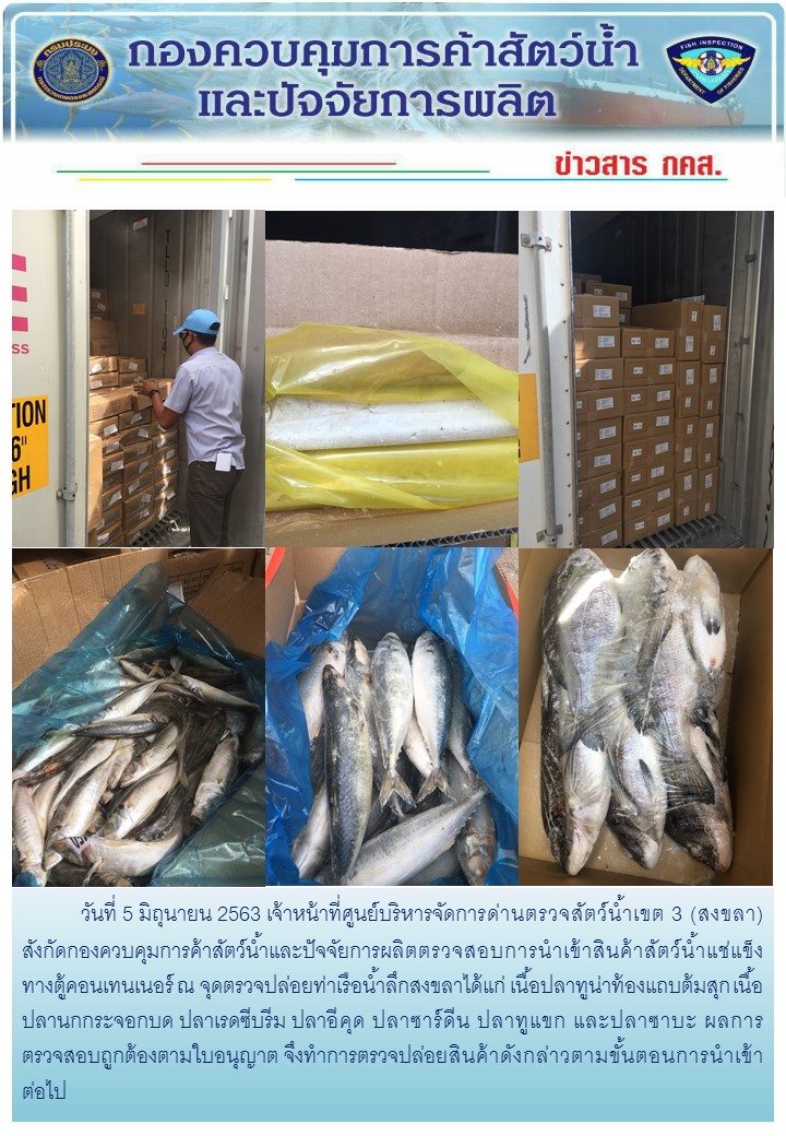 เจ้าหน้าที่ศูนย์บริหารจัดการด่านตรวจสัตว์น้ำเขต 3 (สงขลา) สังกัดกองควบคุมการค้าสัตว์น้ำและปัจจัยการผลิต ตรวจสอบการนำเข้าสินค้าสัตว์น้ำประเภทตู้คอนเทนเนอร์ ณ จุดตรวจปล่อยท่าเรือน้ำลึกสงขลา..คลิก
