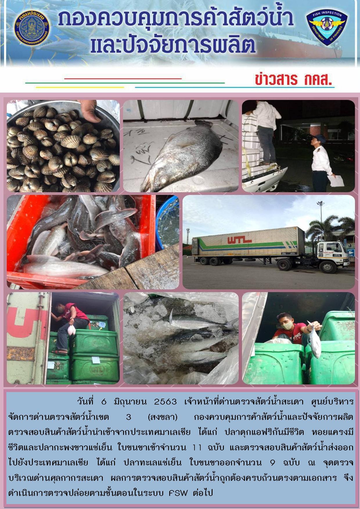 ข่าวสาร กคส. ประจำวันเสาร์ที 6 มิถุนายน 2563..คลิก
