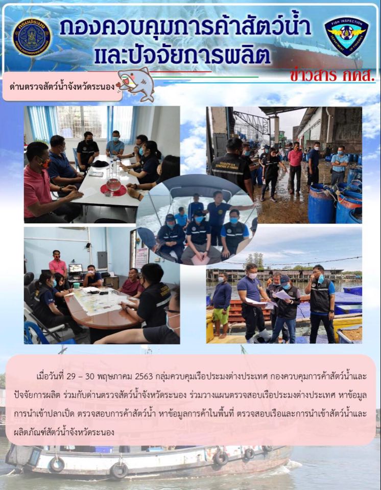 ด่านตรวจสัตว์น้ำจังหวัดระนอง รายงานผลการตรวจเรือขนถ่ายสัตว์น้ำจากประเทศเมียนมา ระหว่างวันที่ 29 พฤษภาคม - 4 มิถุนายน 2563..คลิก
