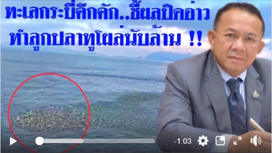 ชาวประมงเฮ...ทะเลคึกคัก !! ชี้มาตรการปิดอ่าวอันดามันเห็นผลเผยยังไม่สุดมาตรการพบฝูงลูกปลาทูโผล่กระบี่นับล้าน..คลิก