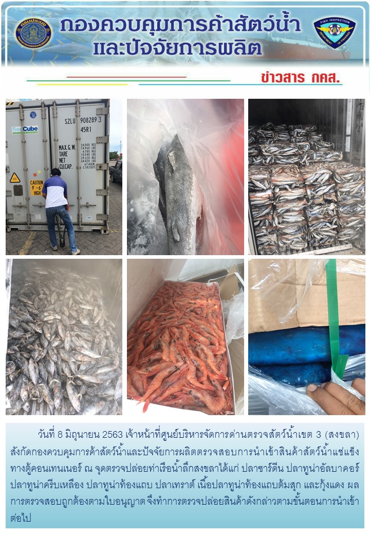 เจ้าหน้าที่ศูนย์บริหารจัดการด่านตรวจสัตว์น้ำเขต 3 (สงขลา) สังกัดกองควบคุมการค้าสัตว์น้ำและปัจจัยการผลิต ตรวจสอบการนำเข้าสินค้าสัตว์น้ำประเภทตู้คอนเทนเนอร์ ณ จุดตรวจปล่อยท่าเรือน้ำลึกสงขลา..คลิก