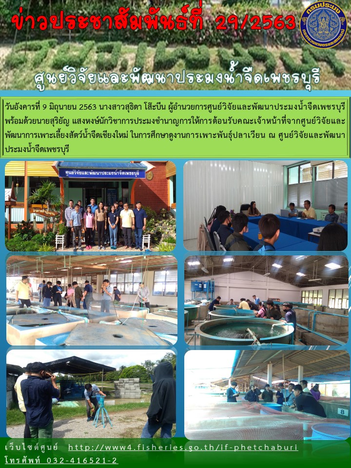 ข่าวประชาสัมพันธ์ครั้งที่ 29/2563