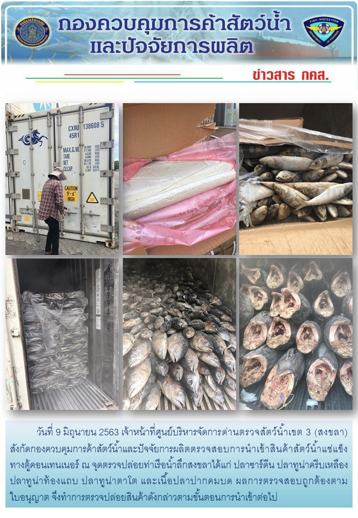 เจ้าหน้าที่ศูนย์บริหารจัดการด่านตรวจสัตว์น้ำเขต 3 (สงขลา) สังกัดกองควบคุมการค้าสัตว์น้ำและปัจจัยการผลิต ตรวจสอบการนำเข้าสินค้าสัตว์น้ำประเภทตู้คอนเทนเนอร์ ณ จุดตรวจปล่อยท่าเรือน้ำลึกสงขลา..คลิก