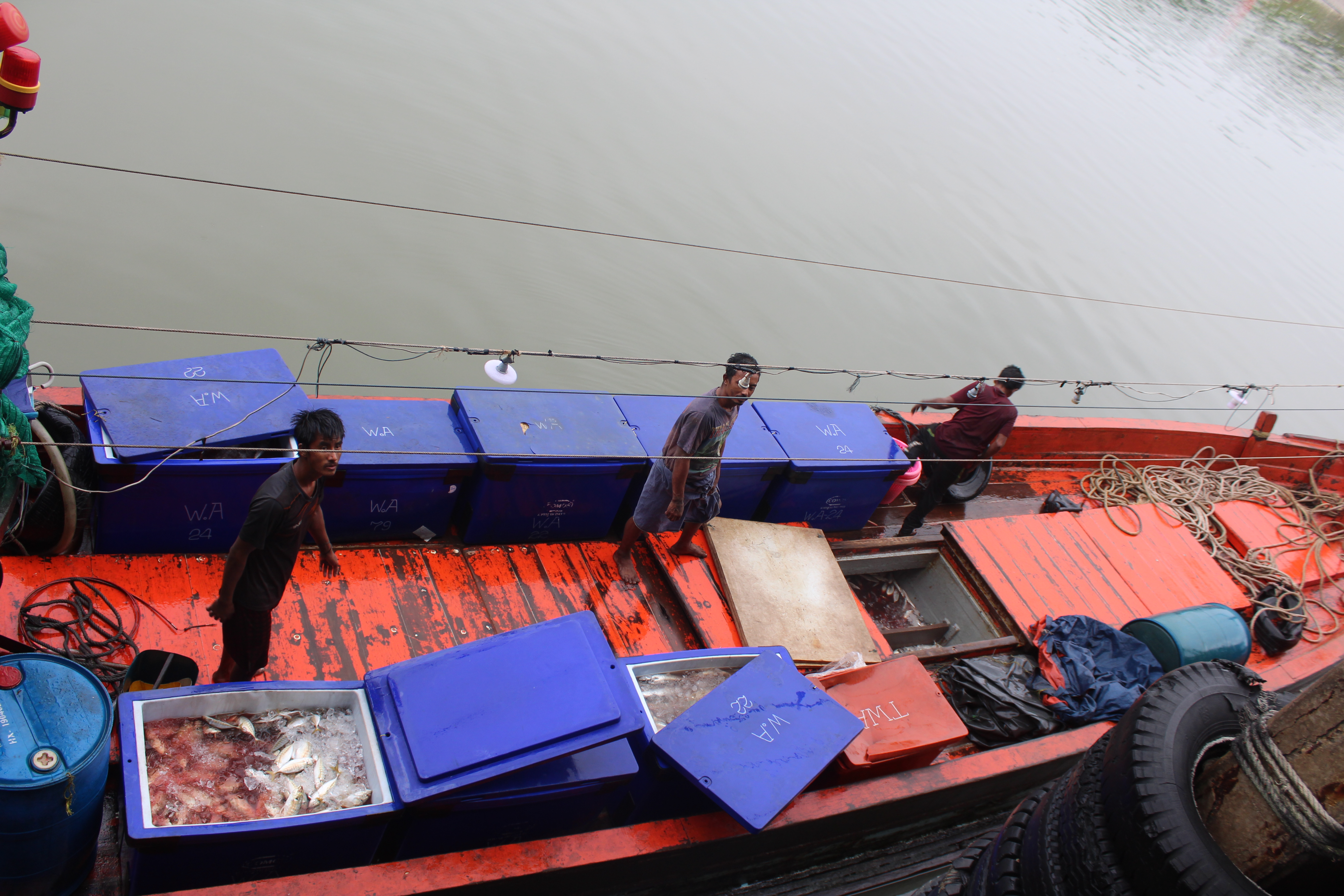 ตรวจสอบเรือและสินค้านำเข้าจากประเทศ MYANMAR..คลิก