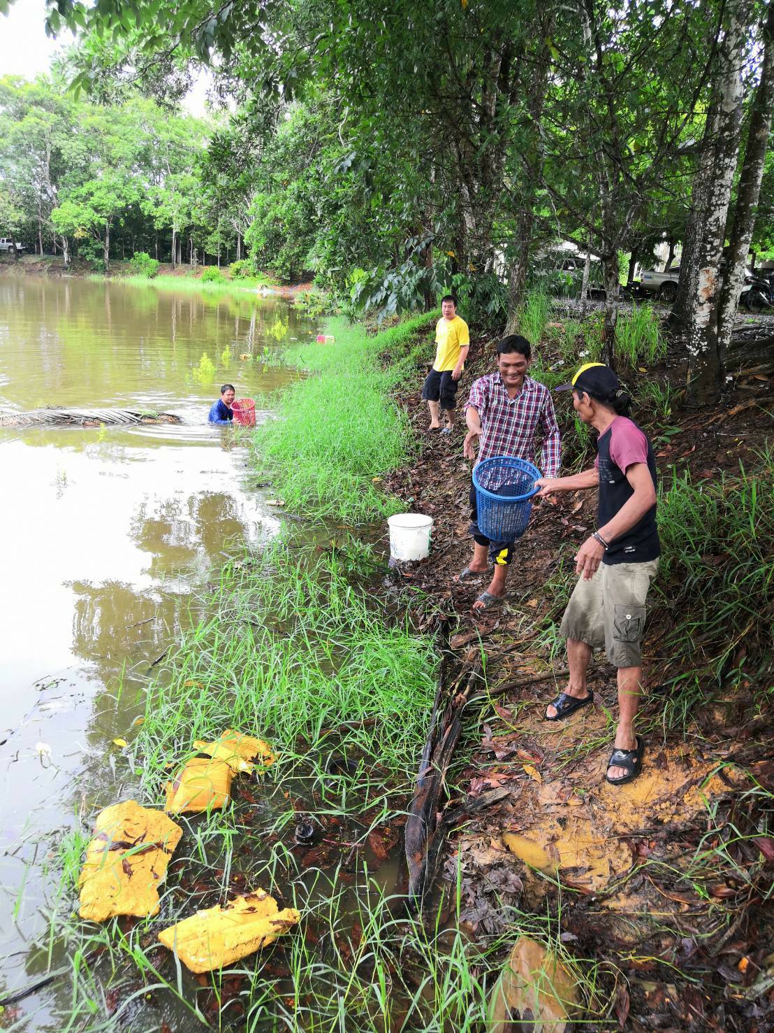 โครงการฟื้นฟู เยียวยา เกษตรกรผู้ประสบภัยฝนทิ้งช่วงและอุทกภัย ปี 2562..คลิก
