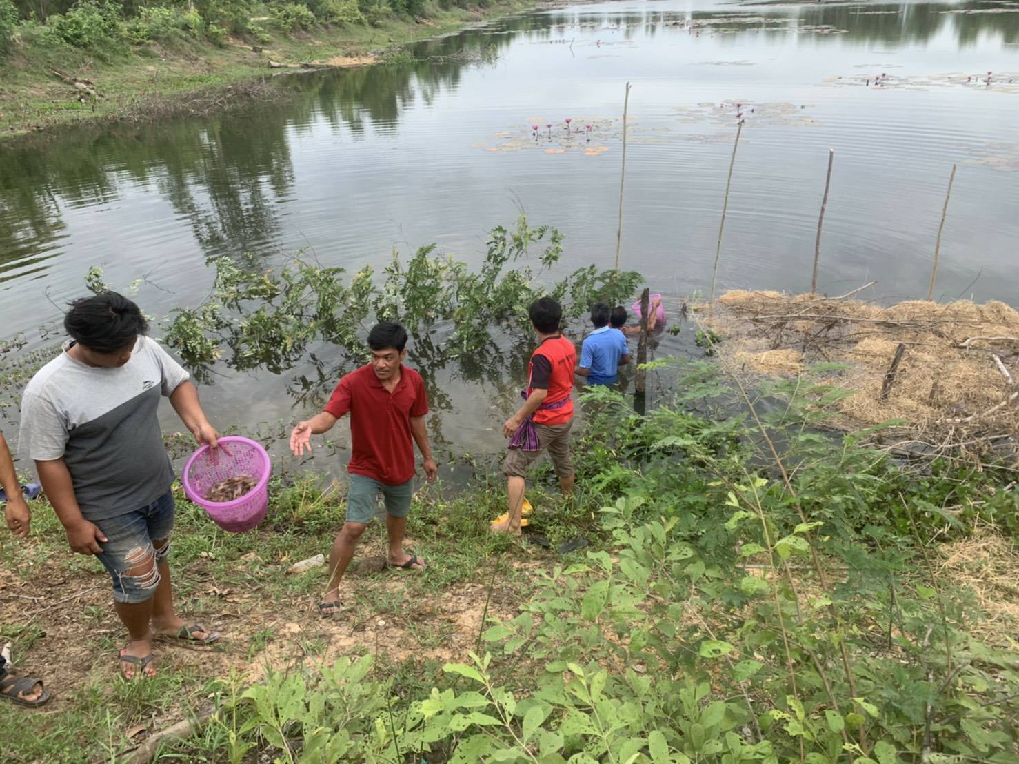 โครงการสร้างรายได้จากอาชีพประมงในแหล่งน้ำชุมชน ณ อ่างเก็บน้ำประชาอาสา ตำบลโพนเมือง อำเภอเหล่าเสือโก้ก จังหวัดอุบลราชธานี..คลิก