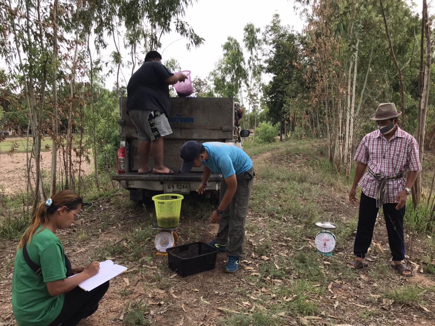 โครงการสร้างรายได้จากอาชีพประมงในแหล่งน้ำชุมชน ณ หนองแค ตำบลเหล่าเสือโก้ก  อำเภอเหล่าเสือโก้ก จังหวัดอุบลราชธานี ..คลิก