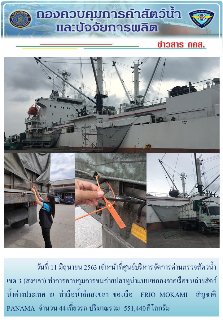 วันที่ 11 มิถุนายน 2563 เจ้าหน้าที่ศูนย์บริหารจัดการด่านตรวจสัตวน้ำ เขต 3 (สงขลา) ทำการควบคุมการขนถ่ายปลาทูน่าแบบเทกองจากเรือขนถ่ายสัตว์น้ำต่างประเทศ ณ ท่าเรือน้ำลึกสงขลา ของเรือ  FRIO MOKAMI  สัญชาติ PANAMA..คลิก