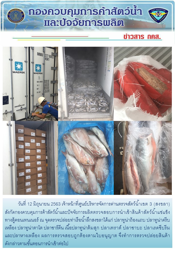 เจ้าหน้าที่ศูนย์บริหารจัดการด่านตรวจสัตว์น้ำเขต 3 (สงขลา) สังกัดกองควบคุมการค้าสัตว์น้ำและปัจจัยการผลิต ตรวจสอบการนำเข้าสินค้าสัตว์น้ำประเภทตู้คอนเทนเนอร์ ณ จุดตรวจปล่อยท่าเรือน้ำลึกสงขลา..คลิก