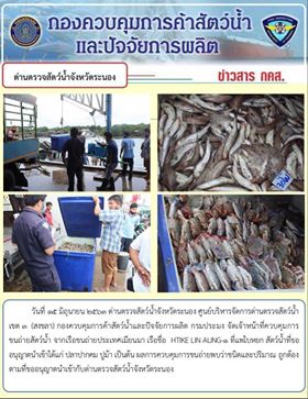 ควบคุมขนถ่ายสัตว์น้ำขึ้นท่าจากประเทศMYANMAR..คลิก
