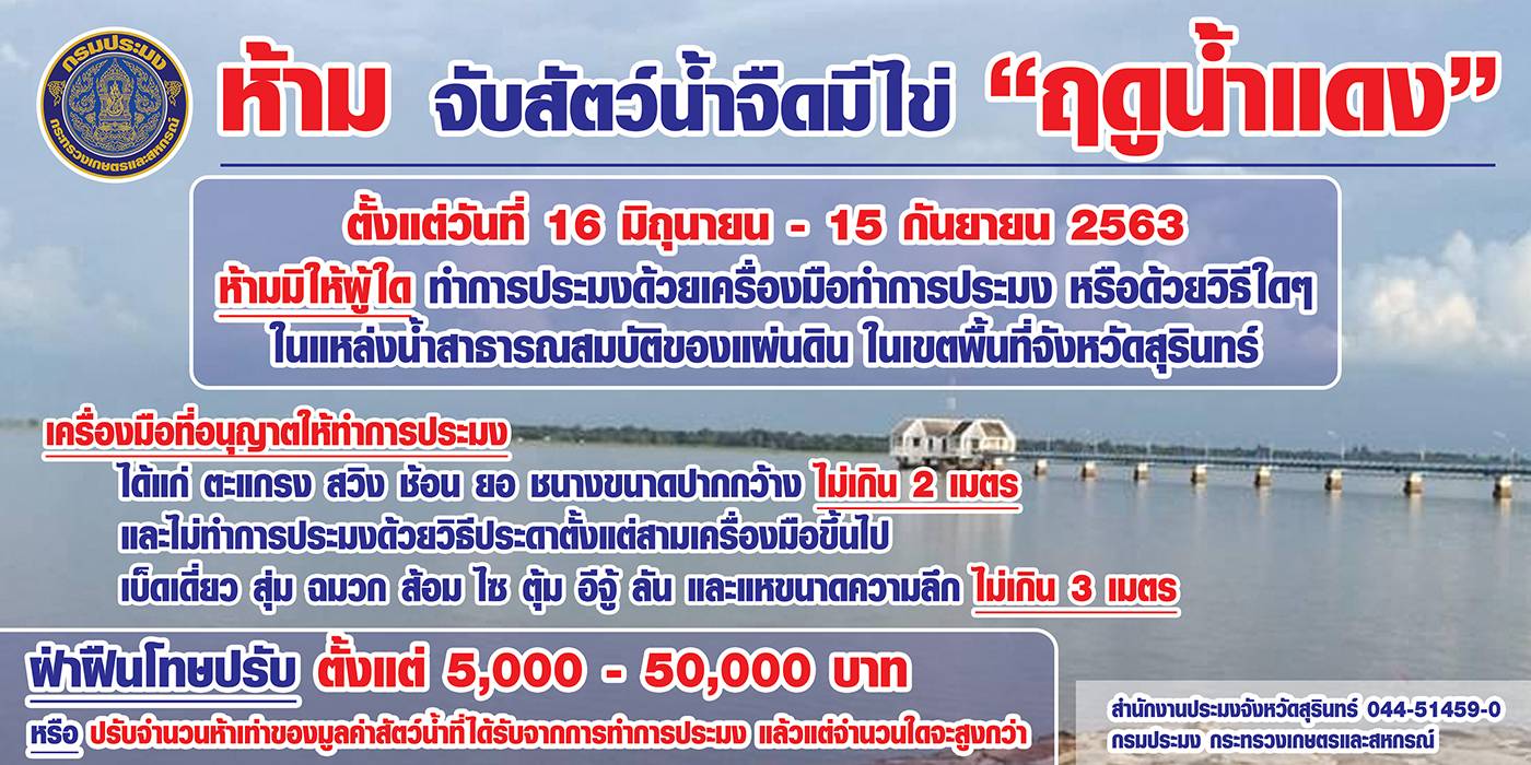 ประชาสัมพันธ์ฤดูน้ำแดง