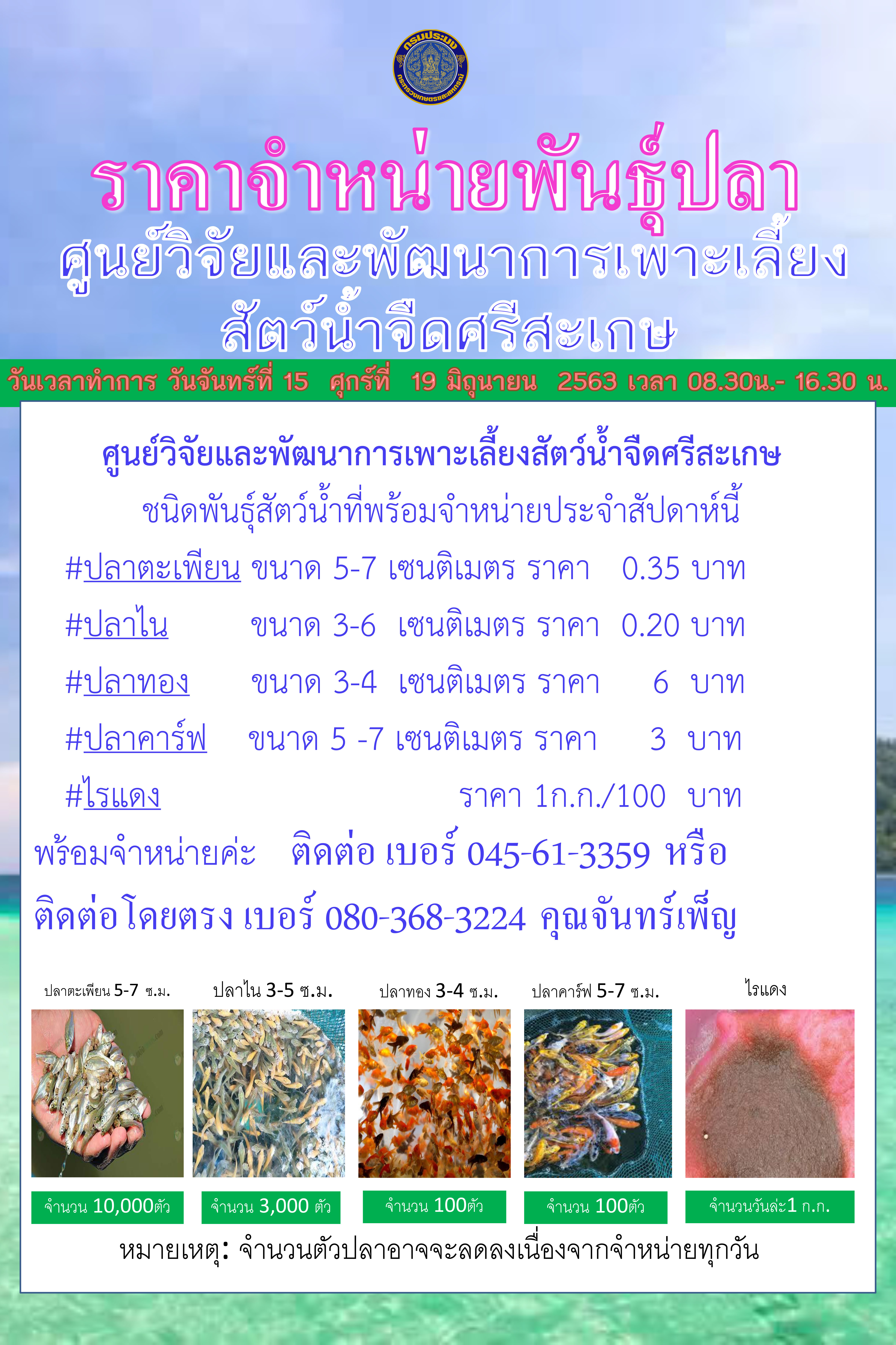 ราคาจำหน่ายพันธุ์ปลาสัปดาห์นี้ วันจันทร์ที่ 15-วันศุกร์ที่ 19 มิถุนายน 2563