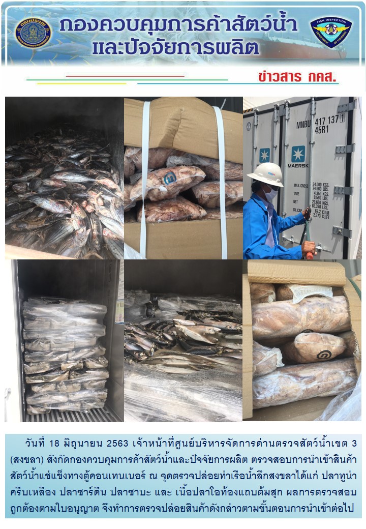 เจ้าหน้าที่ศูนย์บริหารจัดการด่านตรวจสัตว์น้ำเขต 3 (สงขลา) สังกัดกองควบคุมการค้าสัตว์น้ำและปัจจัยการผลิต ตรวจสอบการนำเข้าสินค้าสัตว์น้ำประเภทตู้คอนเทนเนอร์ ณ จุดตรวจปล่อยท่าเรือน้ำลึกสงขลา..คลิก