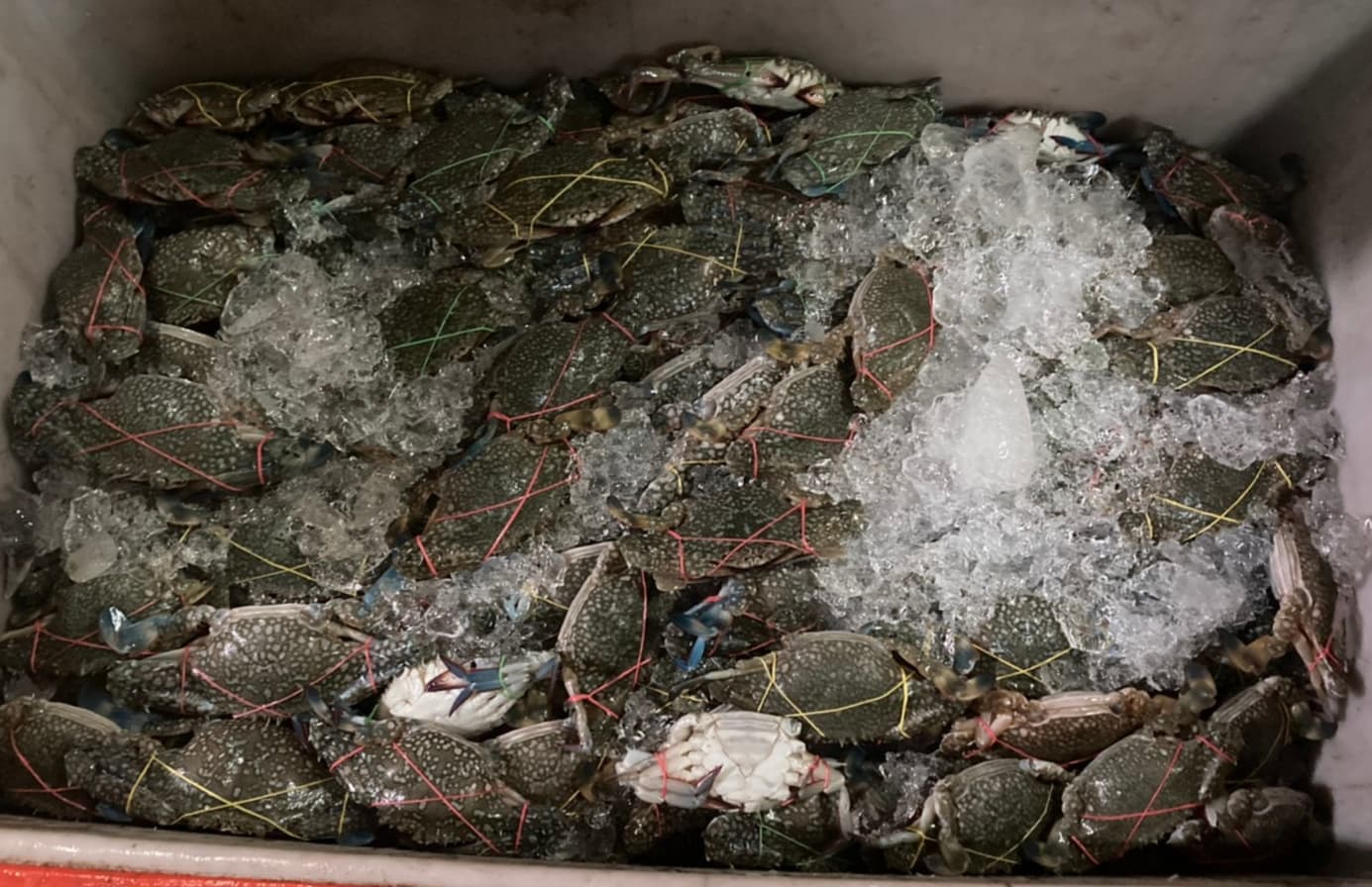 ตรวจสอบเรือและสินค้านำเข้าจากประเทศ MYANMAR..คลิก