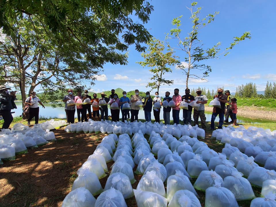 ลงพื้นที่ปล่อยพันธุ์สัตว์น้ำและตรวจเยี่ยม โครงการเกษตรทฤษฎีใหม่(โคก หนอง นา โมเดล)..คลิก