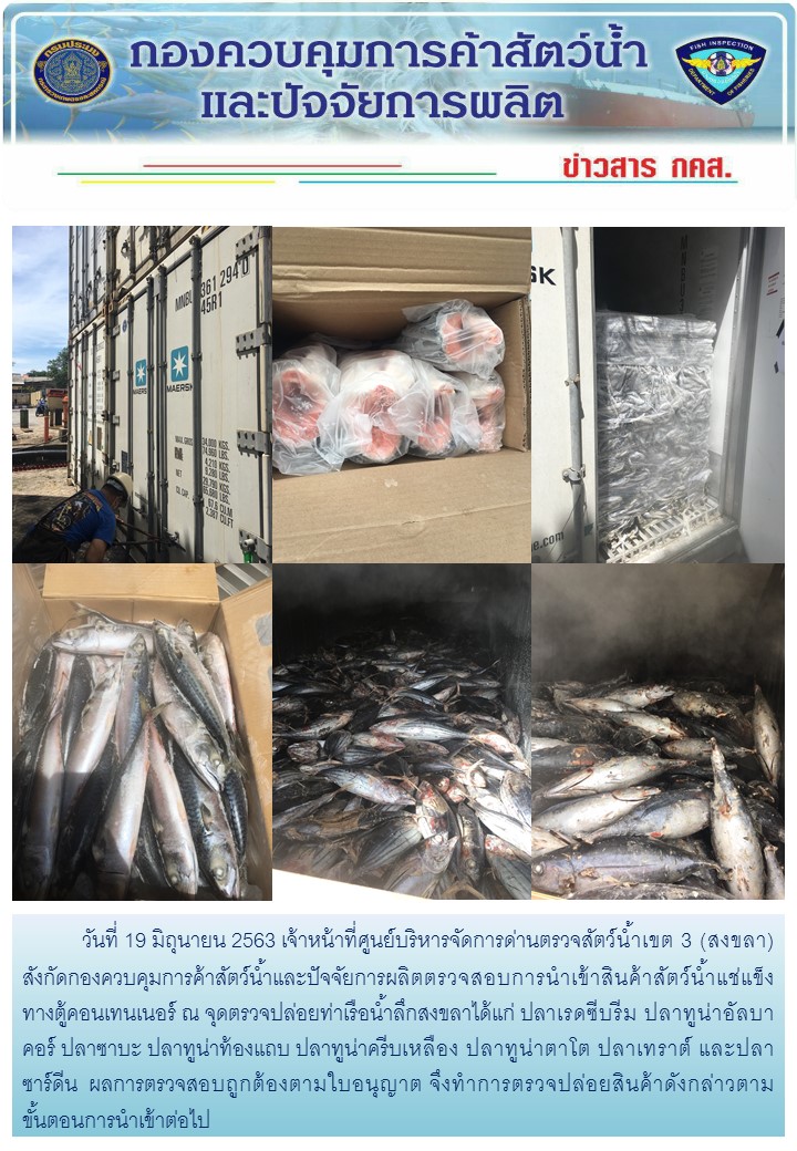เจ้าหน้าที่ศูนย์บริหารจัดการด่านตรวจสัตว์น้ำเขต 3 (สงขลา) สังกัดกองควบคุมการค้าสัตว์น้ำและปัจจัยการผลิต ตรวจสอบการนำเข้าสินค้าสัตว์น้ำประเภทตู้คอนเทนเนอร์ ณ จุดตรวจปล่อยท่าเรือน้ำลึกสงขลา..คลิก