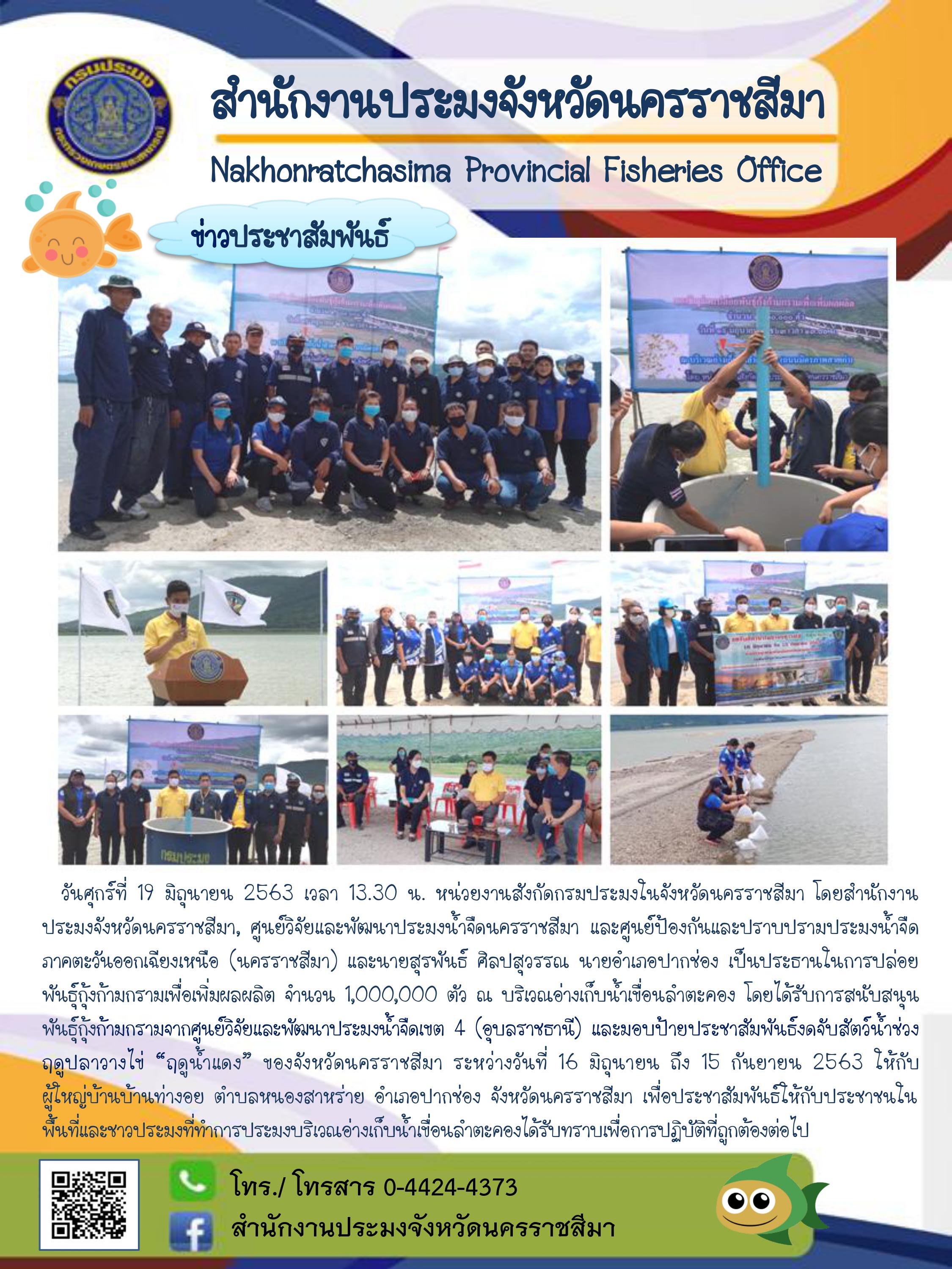 หน่วยงานสังกัดกรมประมงในจังหวัดนครราชสีมาปล่อยพันธุ์กุ้งก้ามกรามเพื่อเพิ่มผลผลิต ณ บริเวณอ่างเก็บน้ำเขื่อนลำตะคอง..คลิก