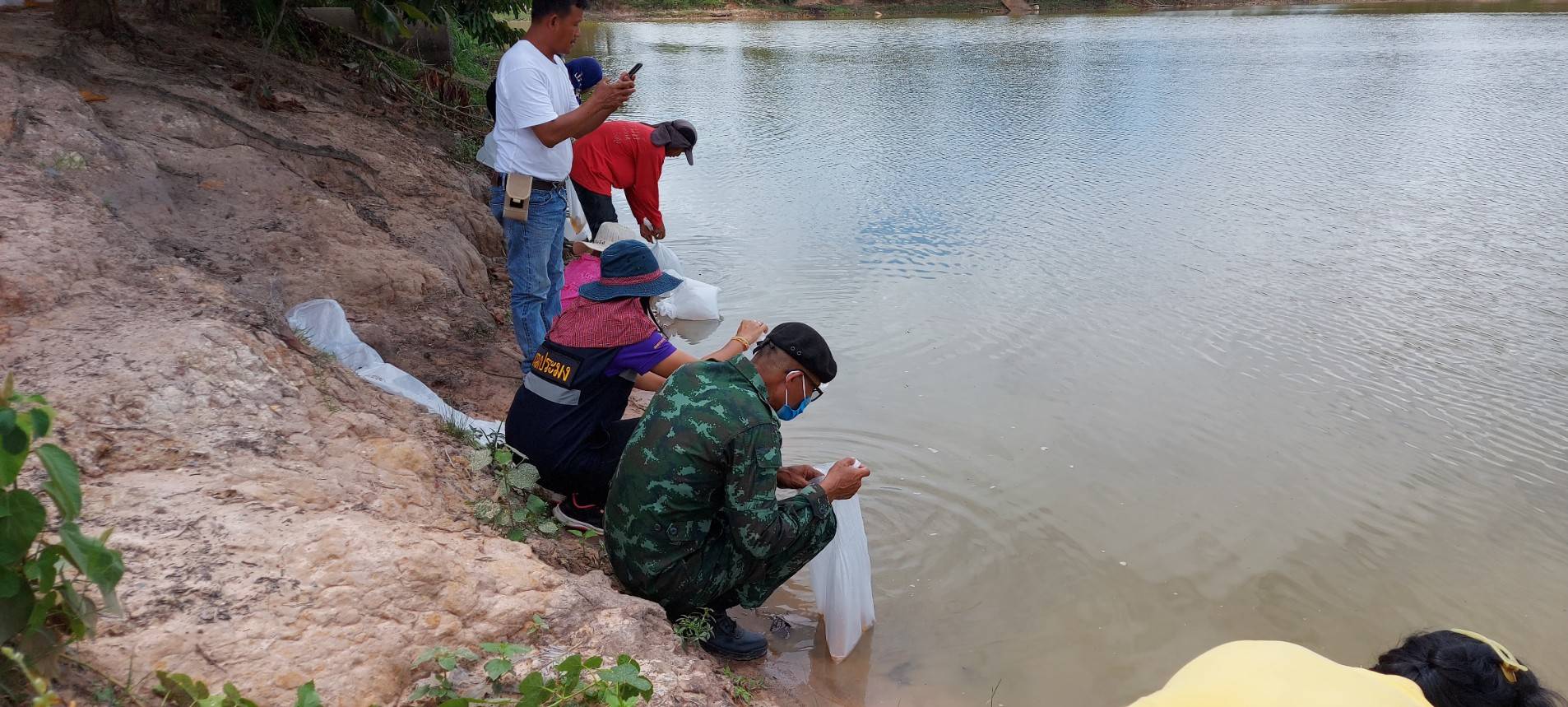 การร่วมกันปล่อยกุ้งก้ามกราม ลงสู่หนองแปน พื้นที่ 15 ไร่ จำนวน 300,000 ตัว..คลิก