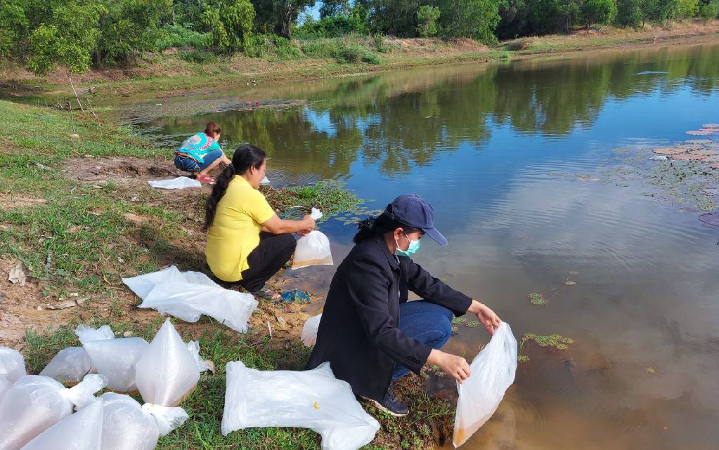 ประมงอำเภอสิรินธร ร่วมกับผู้นำชุมชน และชาวบ้านปล่อยพันธุ์กุ้งก้ามกราม จำนวน 200,000  ตัว ณ อ่างเก็บน้ำห้วยหมากปากแซง..คลิก
