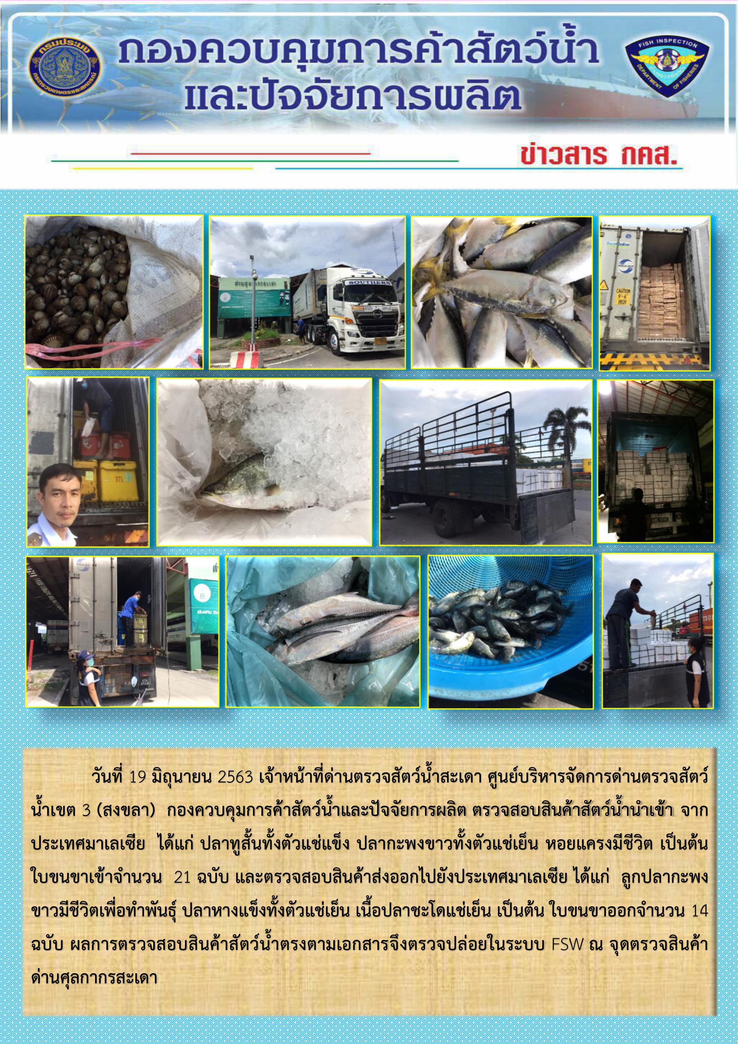 ข่าวสาร กคส. ประจำวันศุกร์ที่ 19 มิถุนายน 2563..คลิก