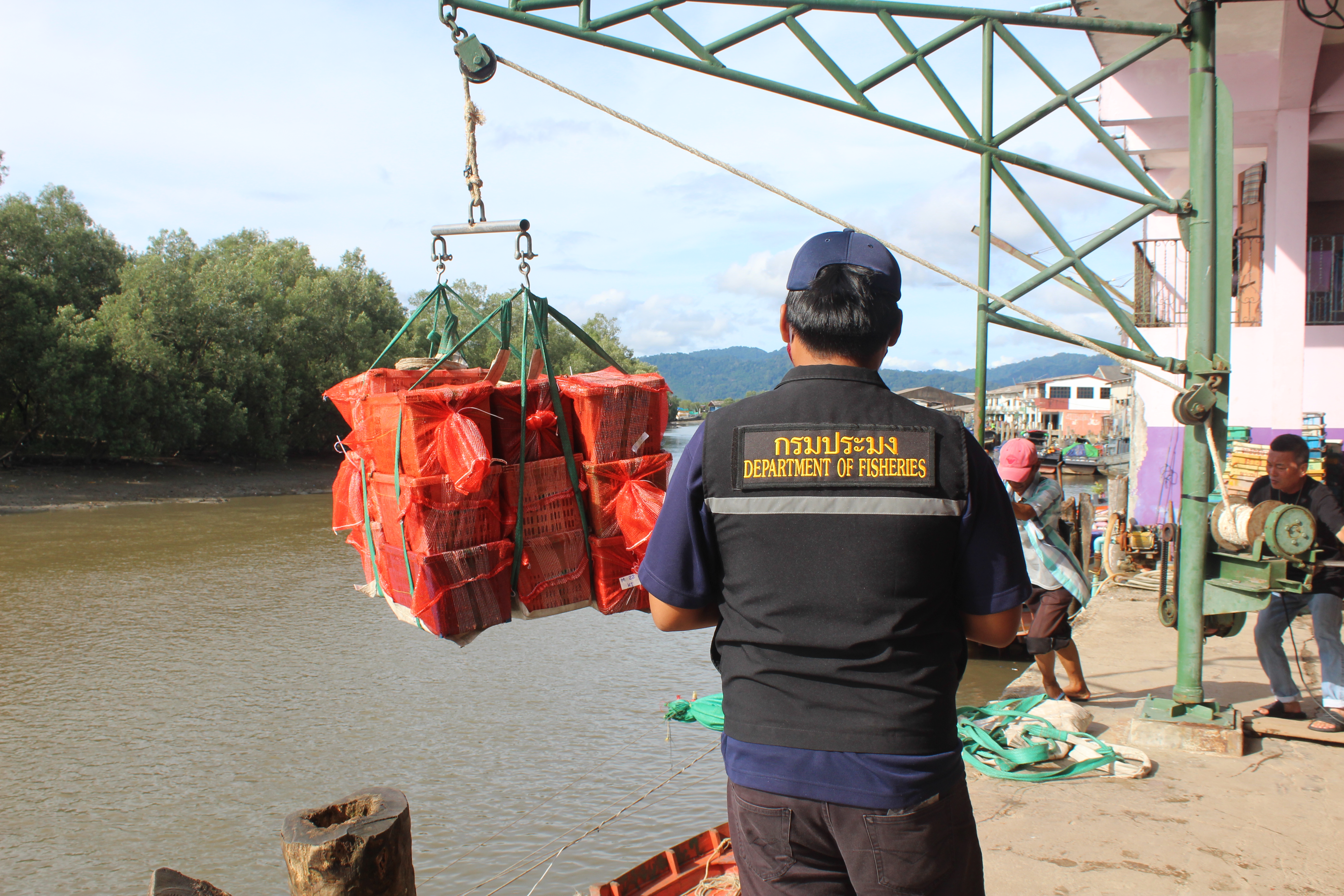 ควบคุมขนถ่ายสัตว์น้ำขึ้นท่าจากประเทศMYANMAR..คลิก