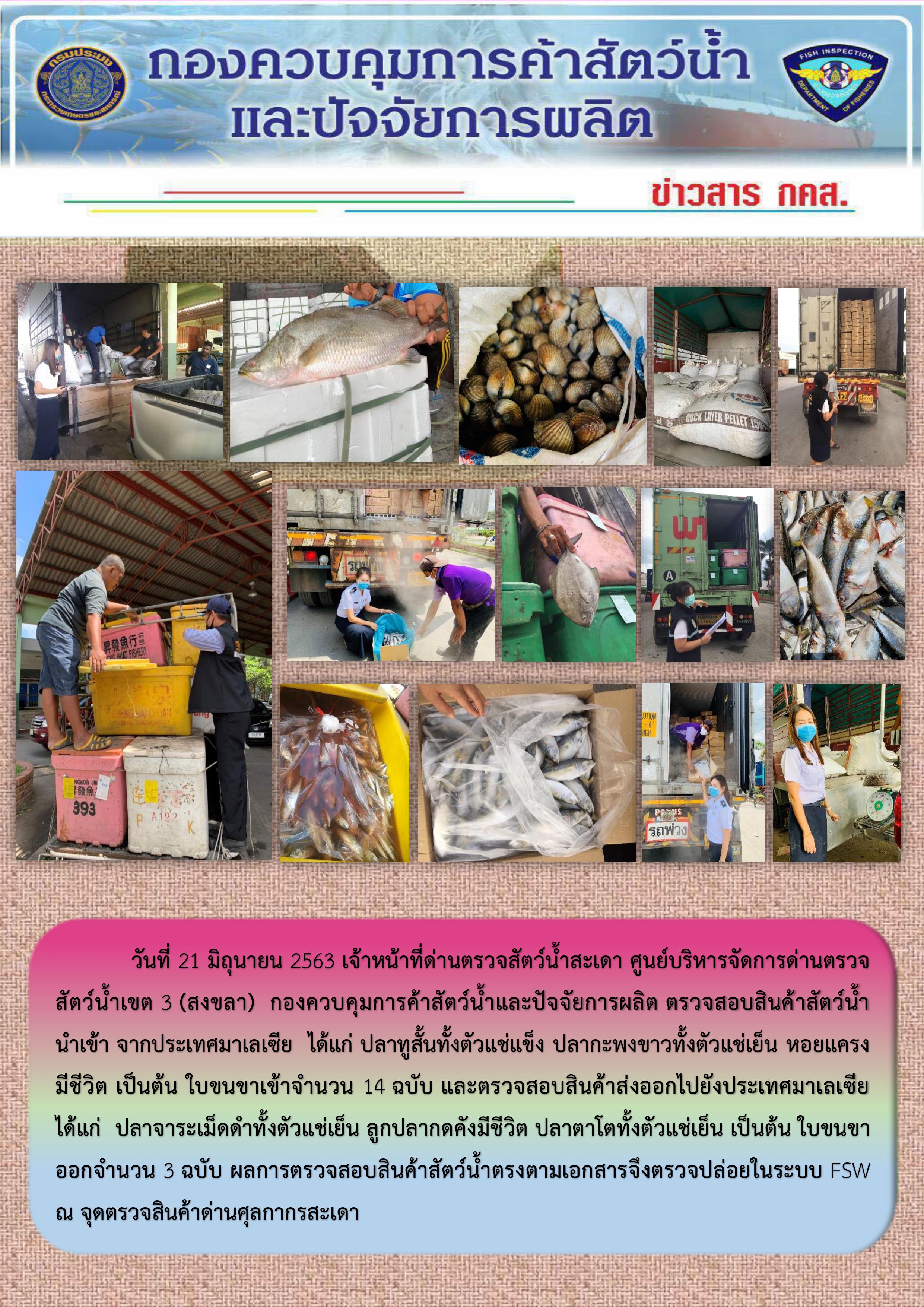 ข่าวสาร กคส. ประจำวันอาทิตย์ที่ 21 มิถุนายน 2563..คลิก