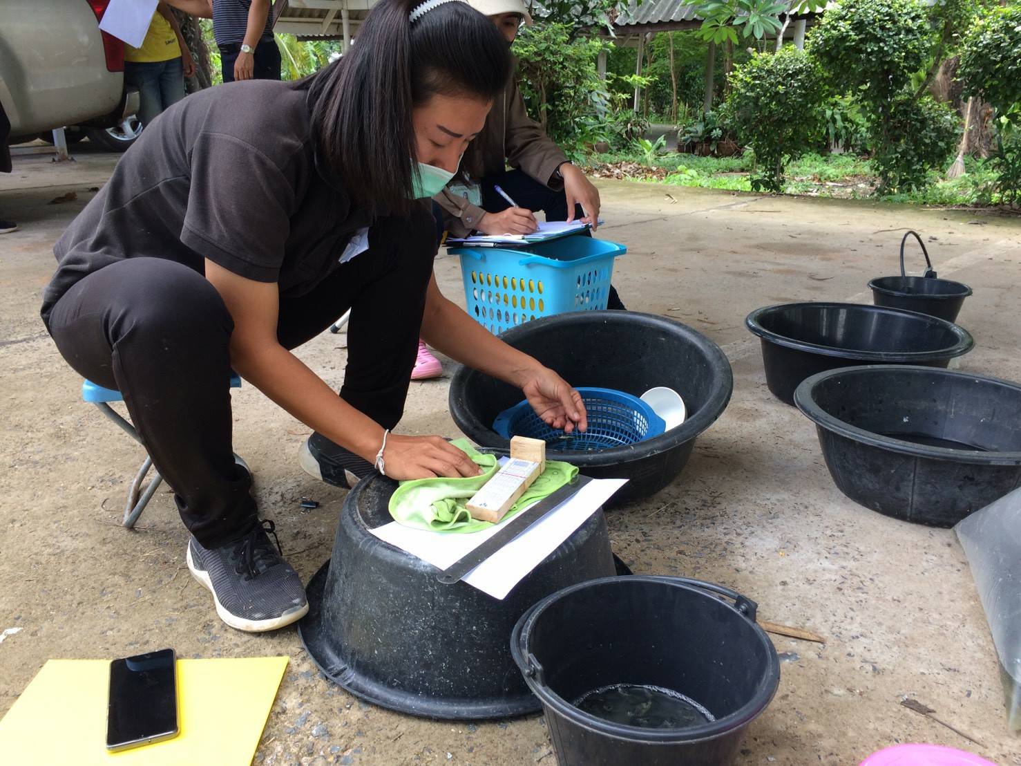 ประมงอำเภอสว่างวีระวงศ์ ดำเนินการมอบปัจจจัยการผลิตปลากินพืช  เพื่อสนับสนุนเกษตรกรที่เข้าร่วมโครงการพัฒนาเสริมทางเลือกอาชีพด้านประมง การเลี้ยงปลานิลแปลงเพศในบ่อดิน ตามแผนการปฏิบัติการฟื้นฟู เยียวยา เกษตรกรผู้ประสบภัยฝนทิ้งช่วงและอุทกภัย ปี 2562..คลิก