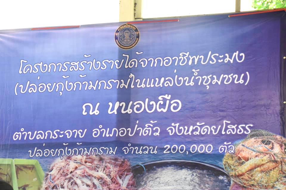 นายมีศักดิ์ ภักดีคง อธิบดีกรมประมง และคณะผู้บริหารกรมประมง ลงพื้นที่ติดตามผลการดำเนินงานการเจริญเติบโตของกุ้งก้ามกราม ในโครงการปล่อยพันธุ์กุ้งก้ามกรามสร้างรายได้ในแหล่งน้ำชุมชน ภายใต้แผนปฏิบัติการฟื้นฟู เยียวยา เกษตรกรผู้ประสบภัยฝนทิ้งช่วงและอุทกภัยปี 2562 ของกระทรวงเกษตรและสหกรณ์ ณ แหล่งน้ำหนองผือ ต.กระจาย อ.ป่าติ้ว จ.ยโสธร..คลิก