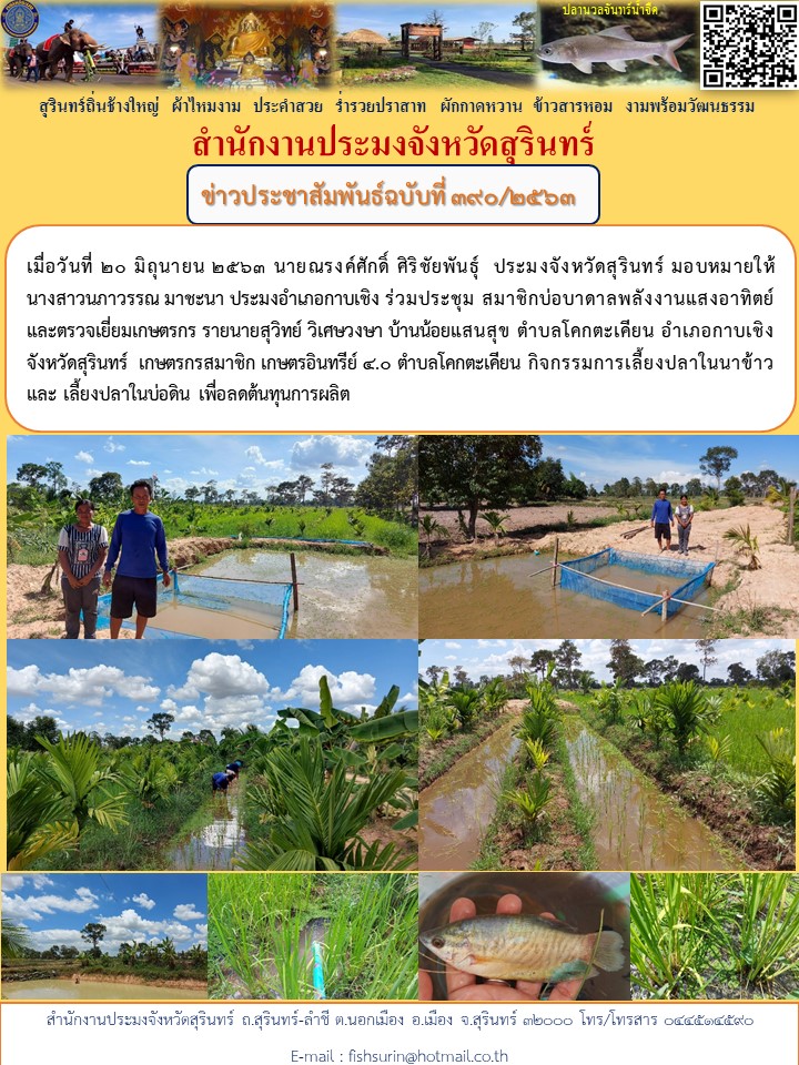 ข่าวประชาสัมพันธ์ 390/2563