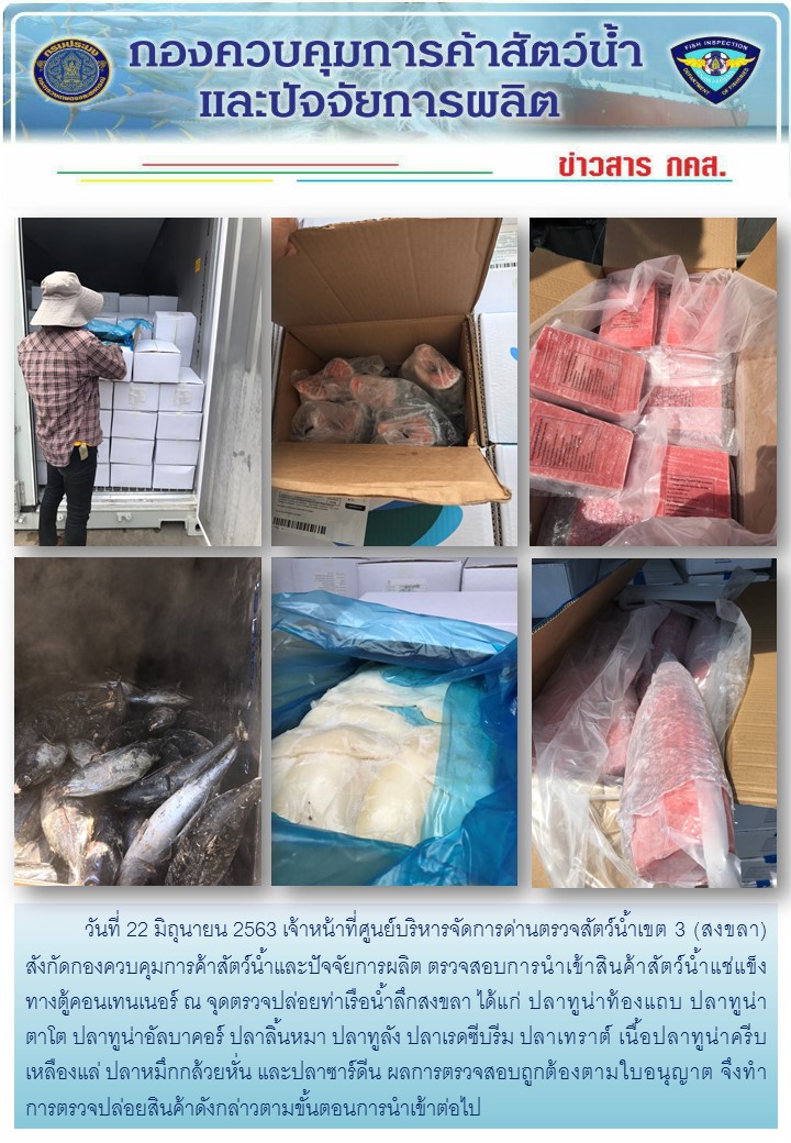 เจ้าหน้าที่ศูนย์บริหารจัดการด่านตรวจสัตว์น้ำเขต 3 (สงขลา) สังกัดกองควบคุมการค้าสัตว์น้ำและปัจจัยการผลิต ตรวจสอบการนำเข้าสินค้าสัตว์น้ำประเภทตู้คอนเทนเนอร์ ณ จุดตรวจปล่อยท่าเรือน้ำลึกสงขลา..คลิก