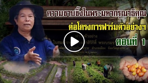ความรู้สึก ความขอบคุณ ความรู้ ที่ได้จากฟาร์มตัวอย่างฯ..คลิก