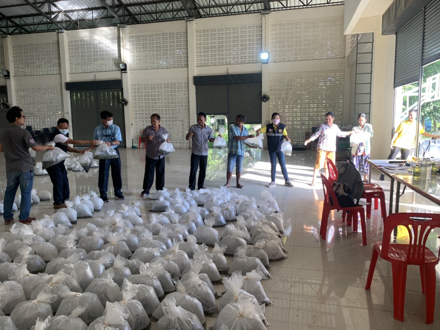 การมอบลูกพันธุ์ปลานิลแปลงเพศ ขนาด 5-7 ซม. ให้เกษตรกรอำเภอเหล่าเสือโก้ก  162 รายๆ ละ 800 ตัว ณ หอประชุมอำเภอเหล่าเสือโก้ก จังหวัดอุบลราชธานี..คลิก