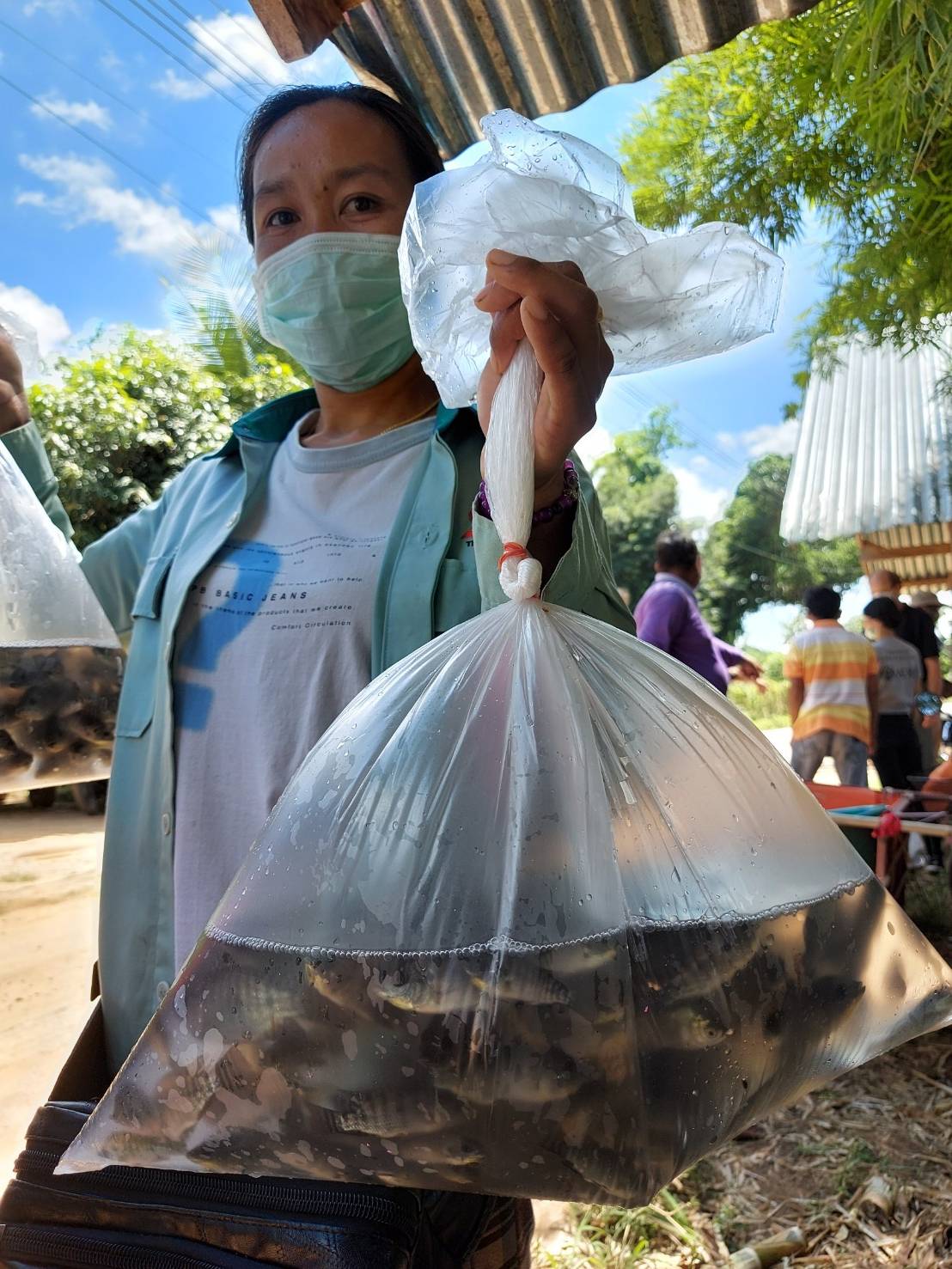 การถ่ายทอดวิธีการเลี้ยงปลา การดูรักษาสัตว์น้ำใน โครงการกับหน่วยพัฒนาและบรรเทาทุกข์มูลนิธิคริสตจักรเซเว่นเดย์แอ๊ดแวนตีสแห่งประเทศไทย หรือองค์กร ADRA ณ ศาลาบ้านนาเยียม.3 ต.นาเยีย อ.นาเยีย จ.อุบลราชธานี..คลิก