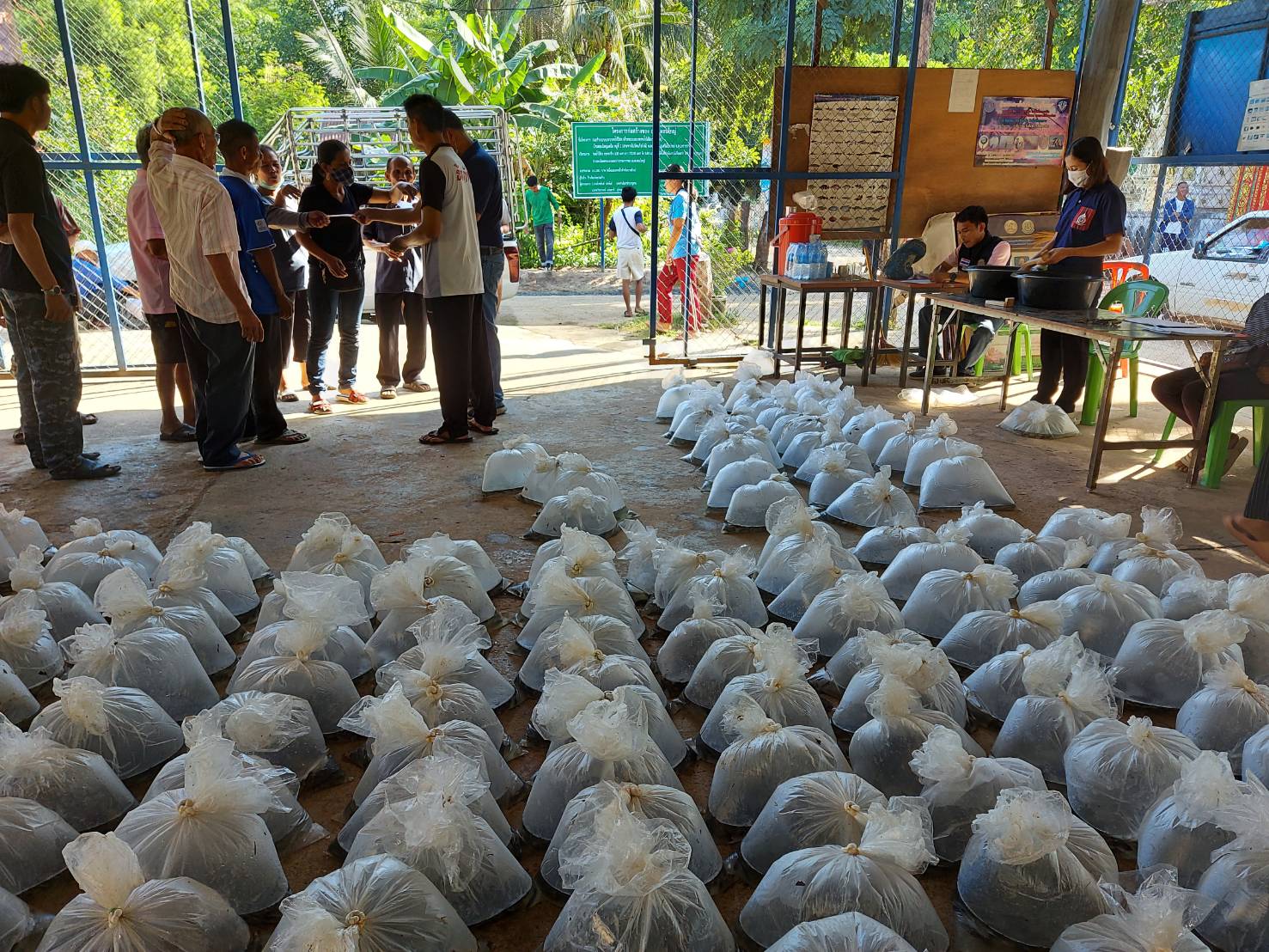 การมอบปัจจัยการผลิต ลูกพันธุ์ปลานิลแปลงเพศ คนละ 800 ตัว แก่เกษตรกรที่เข้าร่วมโครงการพัฒนาเสริมสร้างอาชีพประมง การเลี้ยงปลานิลแปลงเพศในบ่อดิน ณ ศาลาประชาคม หมู่ 2 ตำบลดอนใหญ่ อำเภอศรีเมืองใหม่ จังหวัดอุบลราชธานี..คลิก