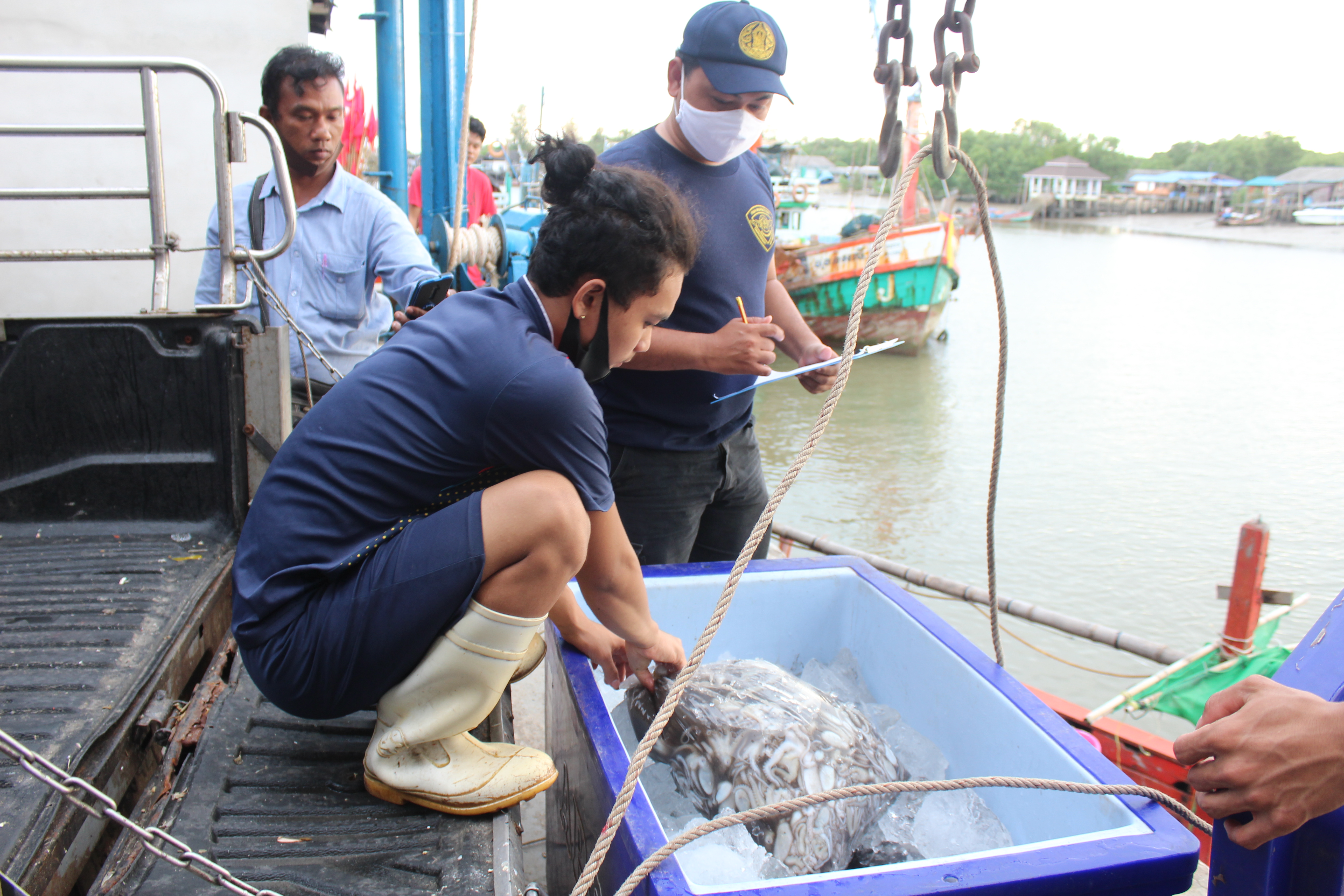 ควบคุมขนถ่ายสัตว์น้ำขึ้นท่าจากประเทศMYANMAR..คลิก