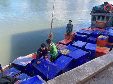 ควบคุมขนถ่ายสัตว์น้ำขึ้นท่าจากประเทศMYANMAR..คลิก