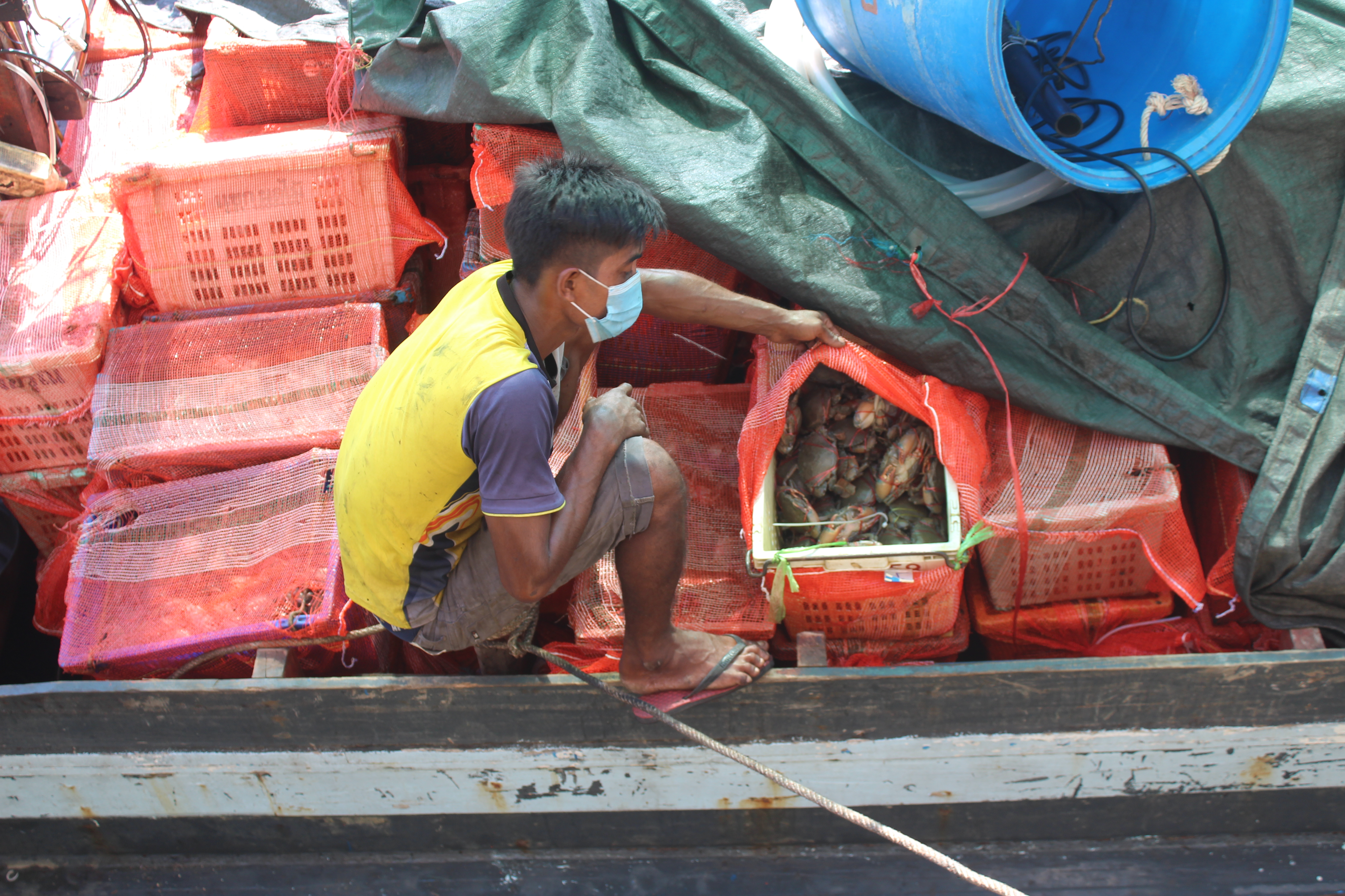 ตรวจสอบเรือและสินค้านำเข้าจากประเทศ MYANMAR..คลิก