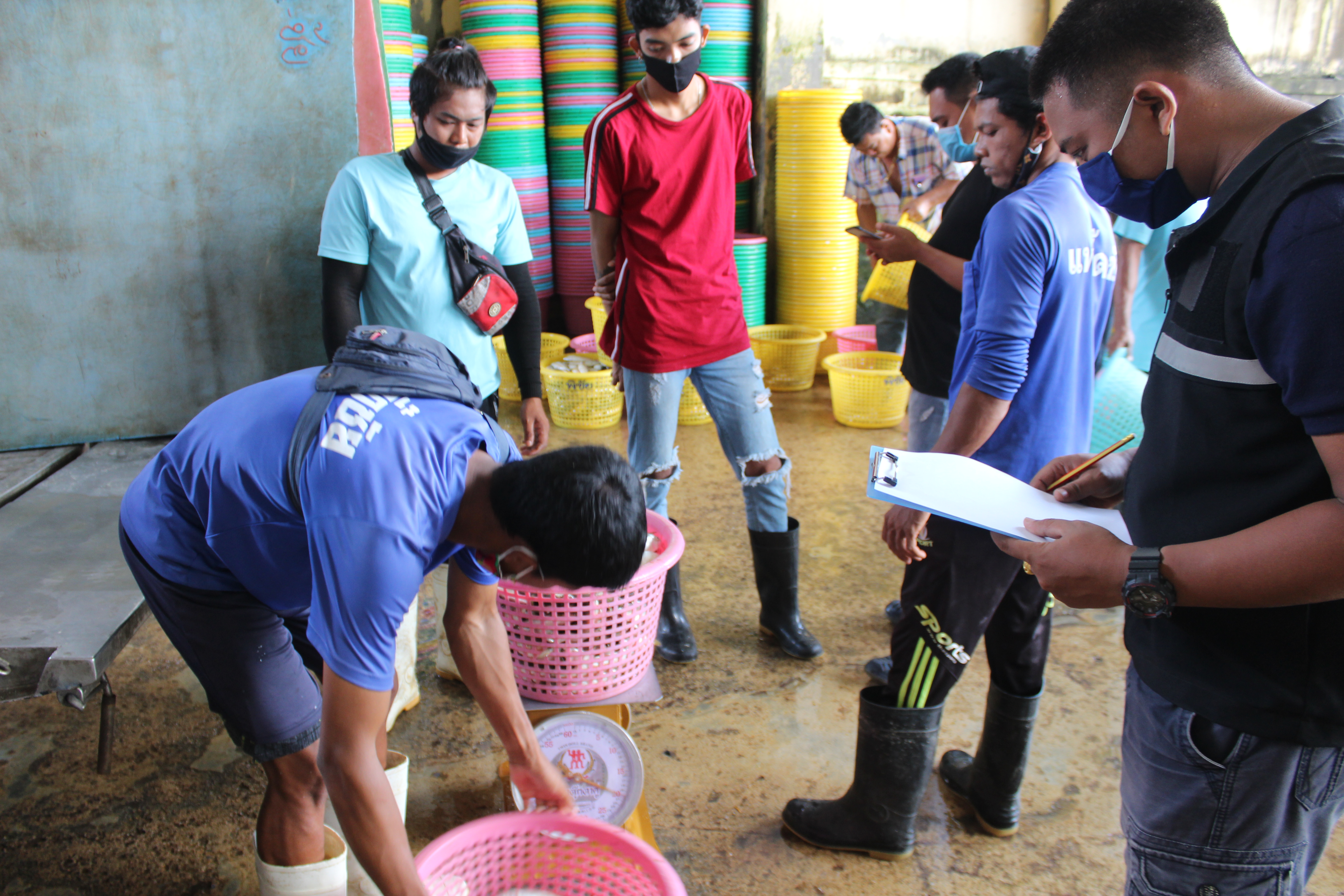 ควบคุมขนถ่ายสัตว์น้ำขึ้นท่าจากประเทศMYANMAR..คลิก