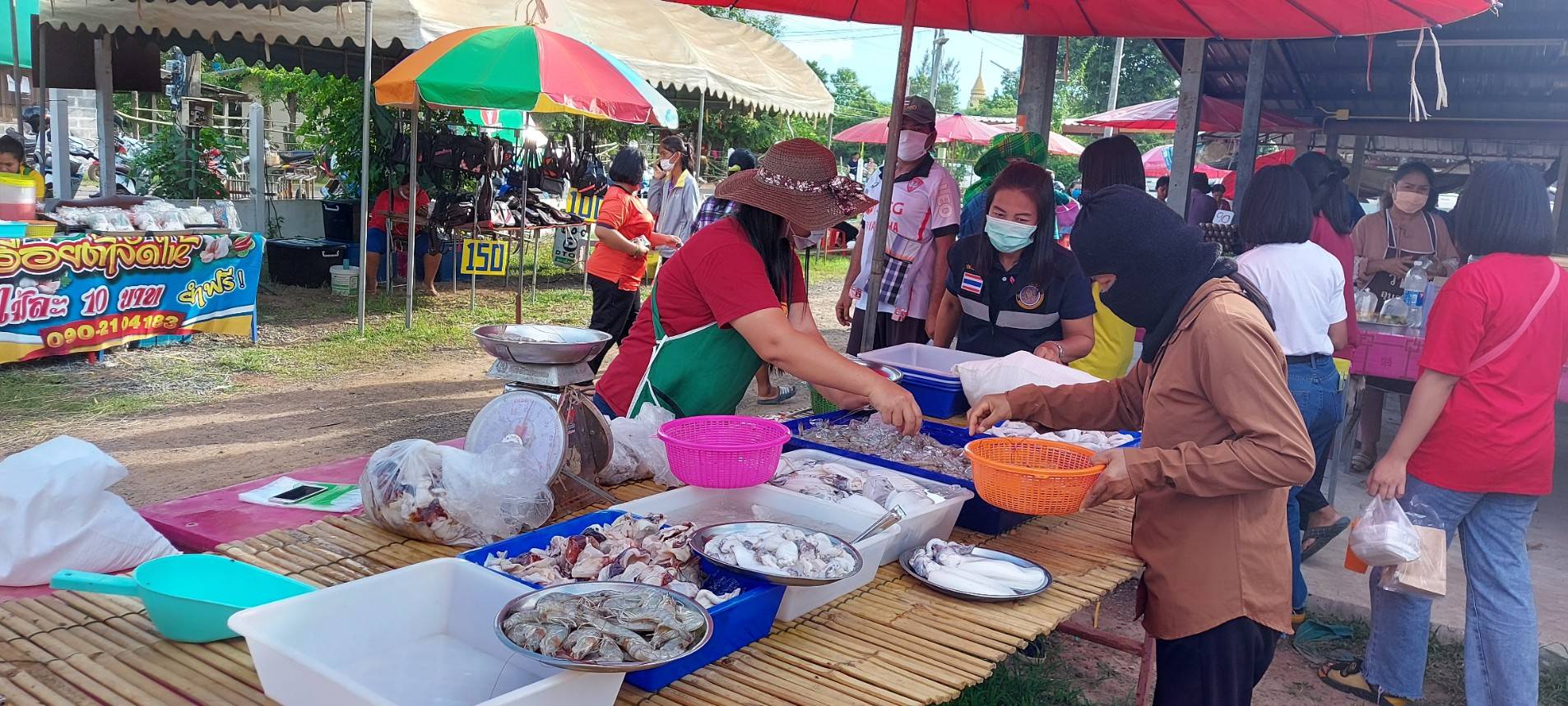 ประมงอำเภอน้ำยืน ลงพื้นที่สำรวจตลาดสินค้าประมงที่ได้จากการเพาะเลี้ยงในพื้นที่  อ.น้ำยืน จ.อุบลราชธานี..คลิก