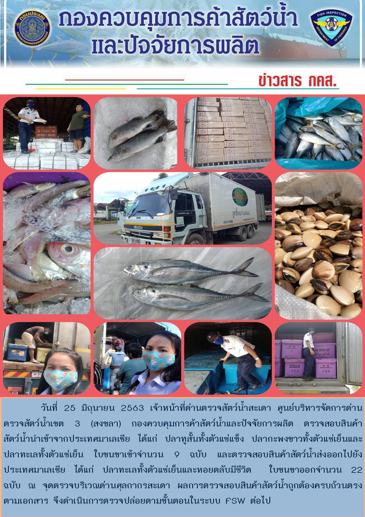 ข่าวสาร กคส. ประจำวันพฤหัสบดีที่ 25 มิถุนายน 2563..คลิก