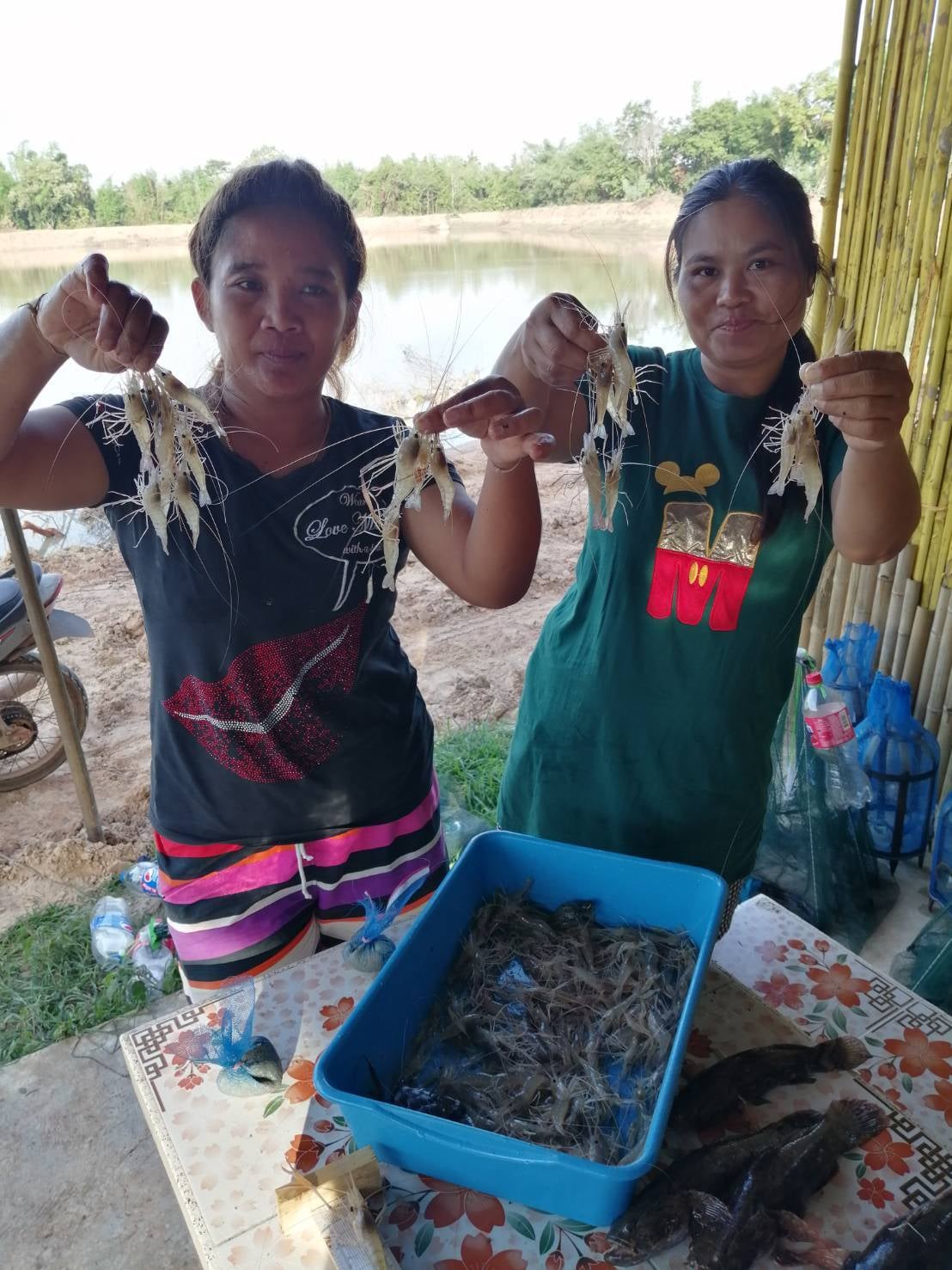 สำนักงานประมงจังหวัดอำนาจเจริญ สุ่มเช็คกุ้งก้ามกรามโครงการสร้างรายได้จากอาชีพประมงในแหล่งน้ำชุมชนตามแผนปฏิบัติการฟื้นฟูเยียวยาเกษตรกรผู้ประสบภัยฝนทิ้งช่วงและอุทกภัยปี2562 ณ แหล่งน้ำหนองฝายหลวงบ้านสามัคคี ตำบลนาป่าแซง อำเภอปทุมราชวงศา จังหวัดอำนาจเจริญ..คลิก