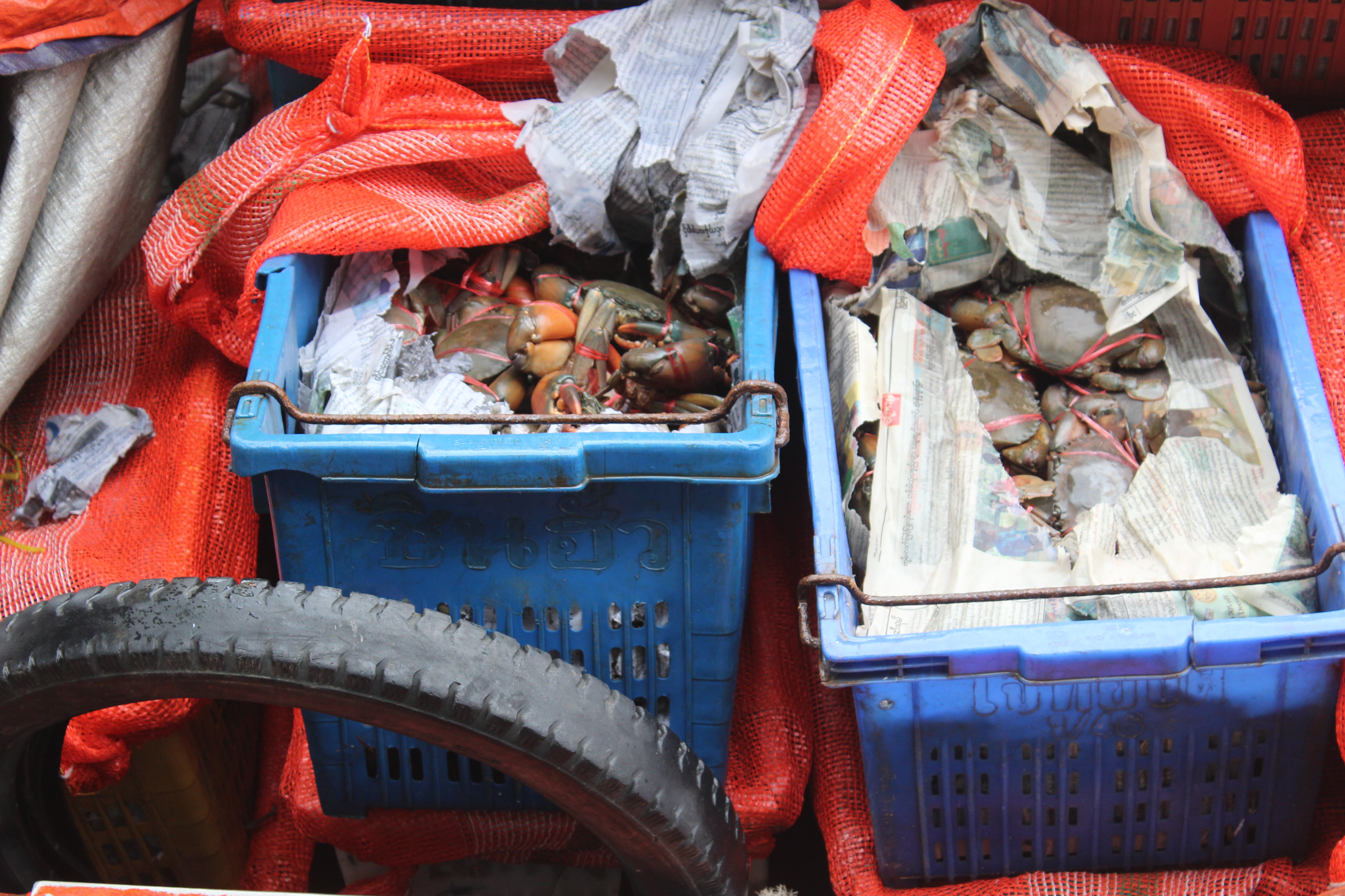 ตรวจสอบเรือและสินค้านำเข้าจากประเทศ MYANMAR..คลิก