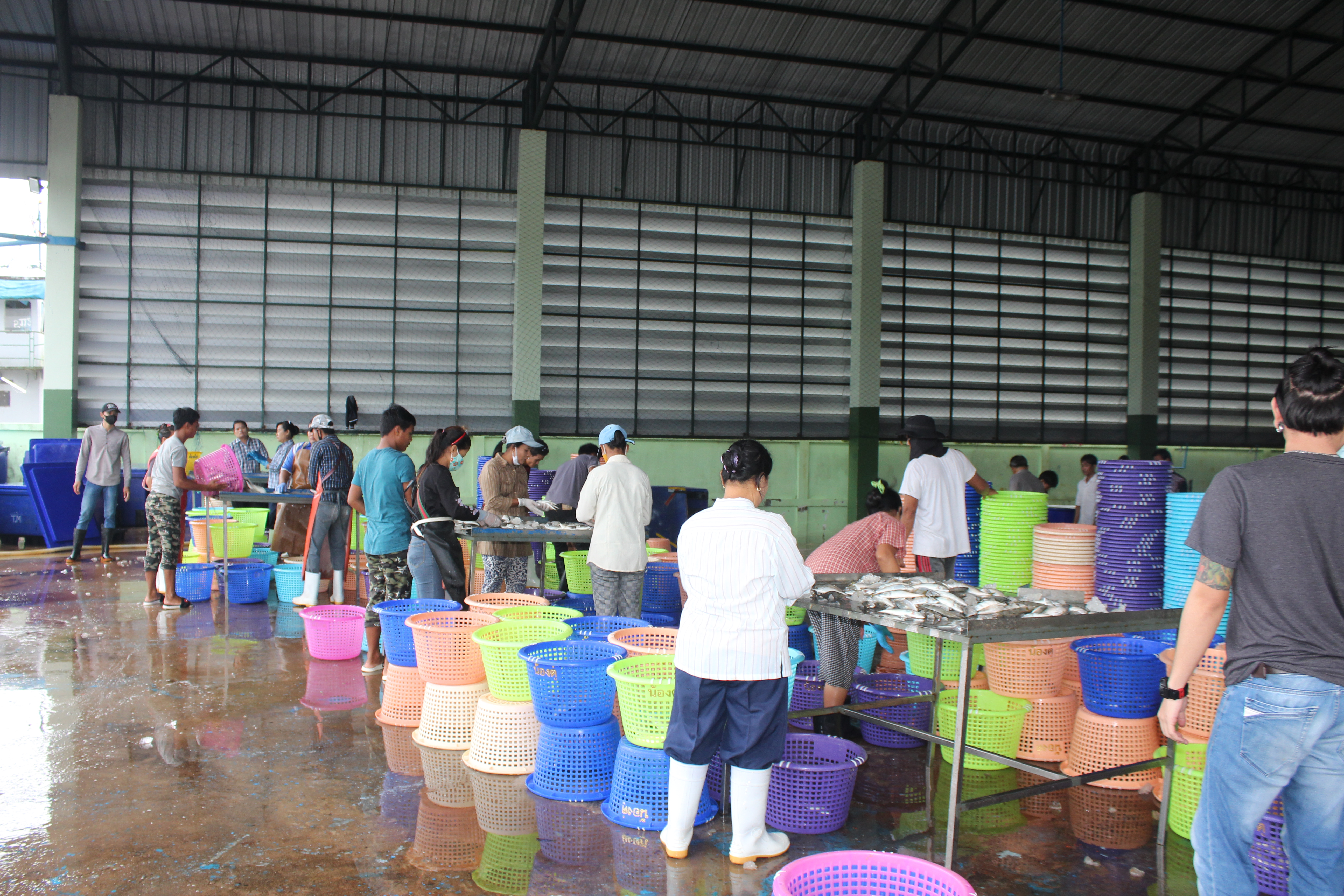 ควบคุมขนถ่ายสัตว์น้ำขึ้นท่าจากประเทศMYANMAR..คลิก