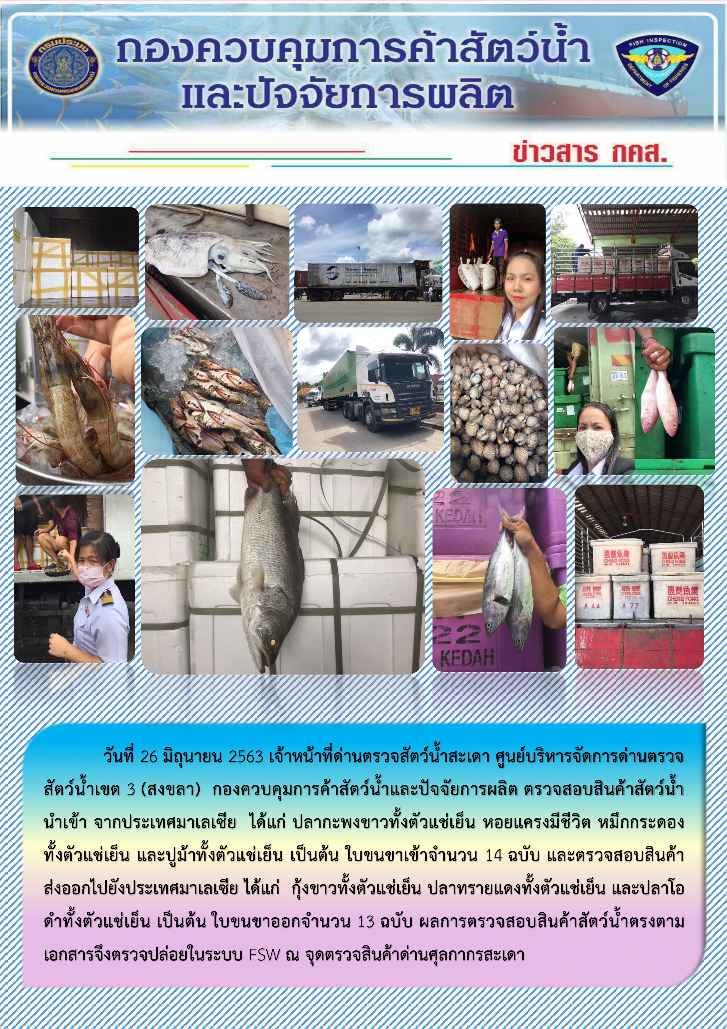 ข่าวประชาสัมพันธ์การปฏิบัติงานด่านตรวจสัตว์น้ำสะเดา ประจำวันศุกร์ที่ 26 มิถุนายน 2563..คลิก