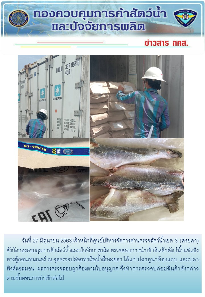 เจ้าหน้าที่ศูนย์บริหารจัดการด่านตรวจสัตว์น้ำเขต 3 (สงขลา) สังกัดกองควบคุมการค้าสัตว์น้ำและปัจจัยการผลิต ตรวจสอบการนำเข้าสินค้าสัตว์น้ำประเภทตู้คอนเทนเนอร์ ณ จุดตรวจปล่อยท่าเรือน้ำลึกสงขลา..คลิก