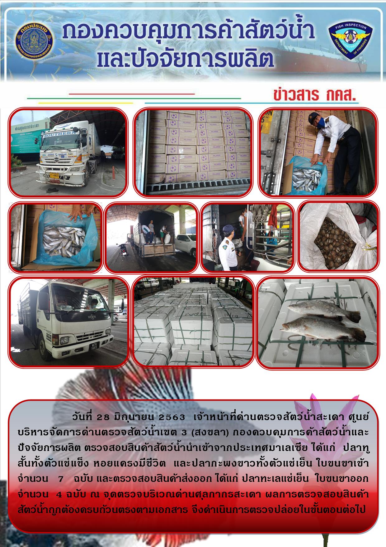 ข่าวประชาสัมพันธ์การปฏิบัติงานด่านตรวจสัตว์น้ำสะเดา ประจำวันอาทิตย์ที่ 28 มิถุนายน 2563..คลิก
