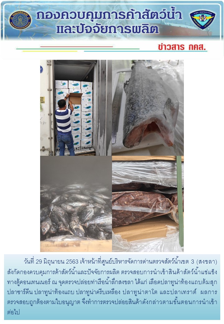เจ้าหน้าที่ศูนย์บริหารจัดการด่านตรวจสัตว์น้ำเขต 3 (สงขลา) สังกัดกองควบคุมการค้าสัตว์น้ำและปัจจัยการผลิต ตรวจสอบการนำเข้าสินค้าสัตว์น้ำประเภทตู้คอนเทนเนอร์ ณ จุดตรวจปล่อยท่าเรือน้ำลึกสงขลา..คลิก