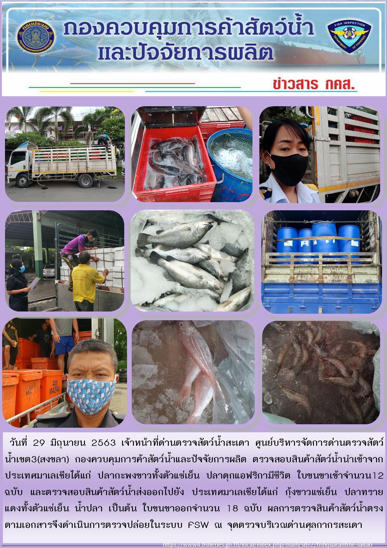 ข่าวประชาสัมพันธ์การปฏิบัติงานด่านตรวจสัตว์น้ำสะเดา ประจำวันจันทร์ที่ 29 มิถุนายน 2563..คลิก