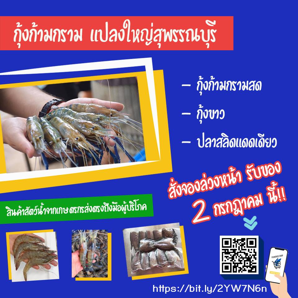 2 กรกฎาคม นี้!!! พบกับสินค้าผลิตภัณฑ์สัตว์น้ำมากมาย จากเกษตรกรถึงมือผู้บริโภค สด สะอาด ปลอดภัย ได้คุณภาพ..คลิก