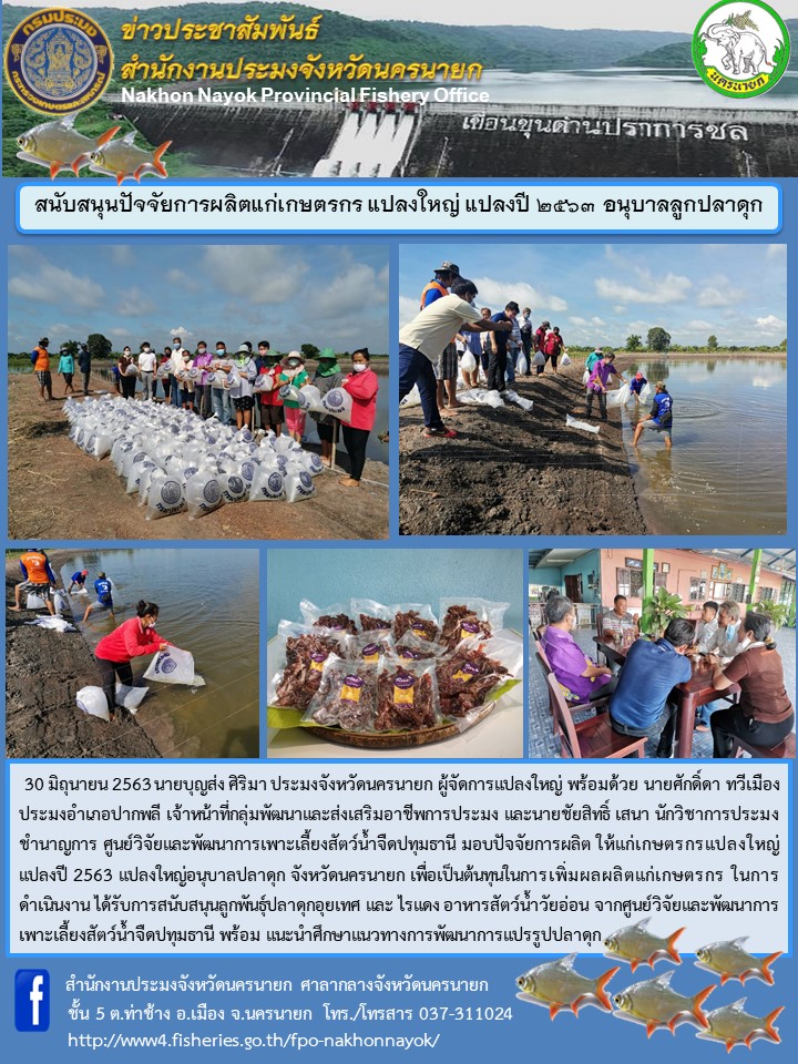 สนับสนุนปัจจัยการผลิตแก่เกษตรกรแปลงใหญ่ แปลงปี 2563 อนุบาลลูกปลาดุก..คลิก